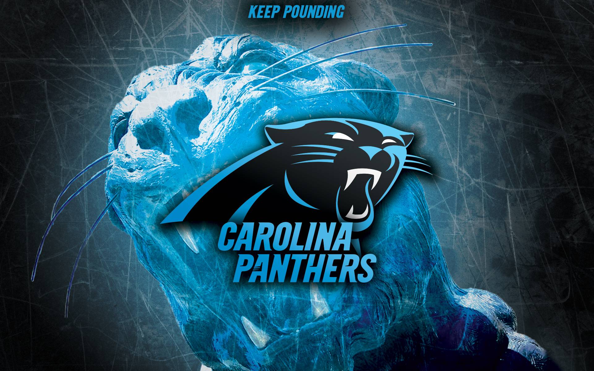 Carolina Panthers Wallpapers - Top Những Hình Ảnh Đẹp
