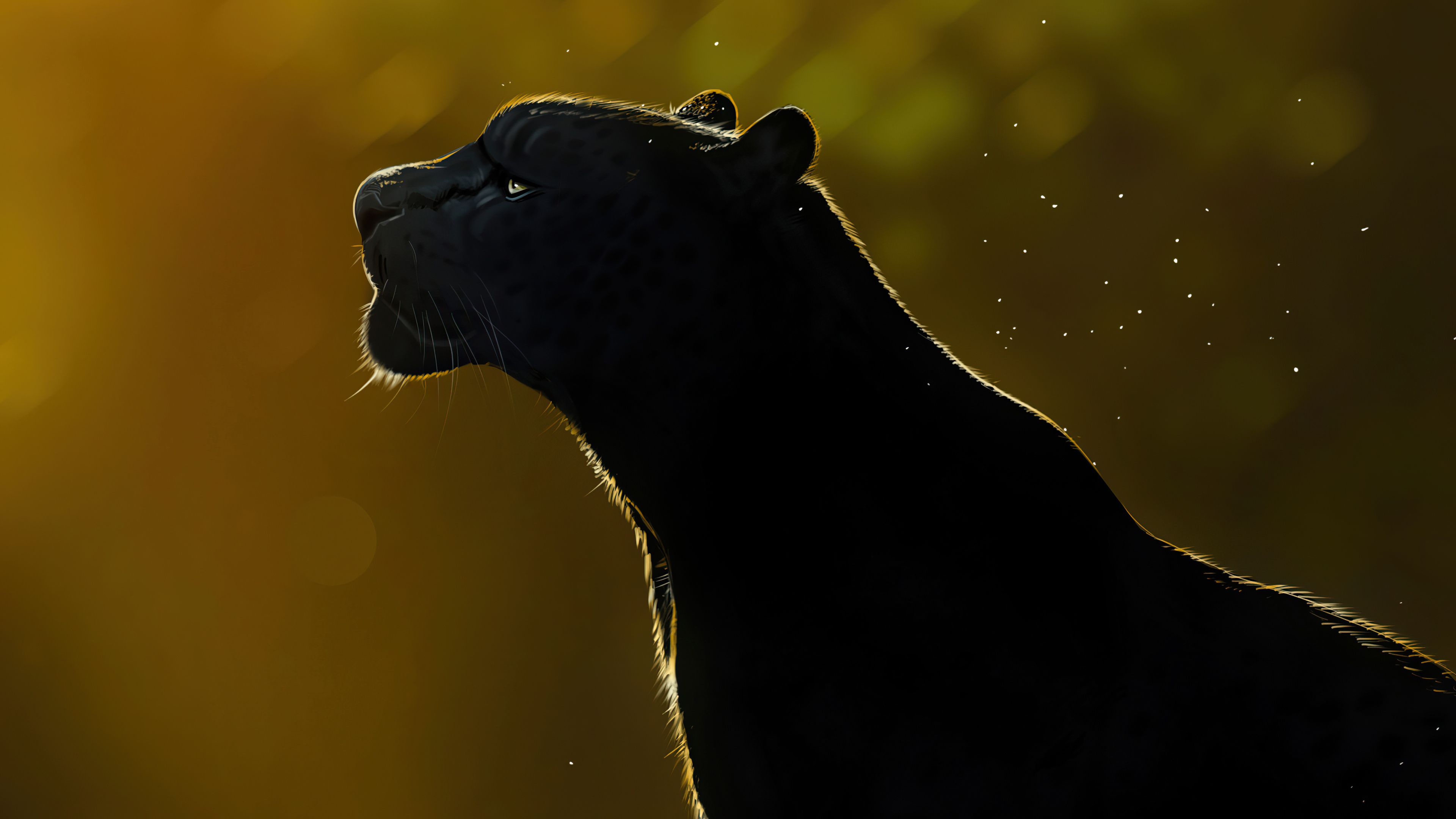 3840x2160 Black Panther (Animal) Wallpaper