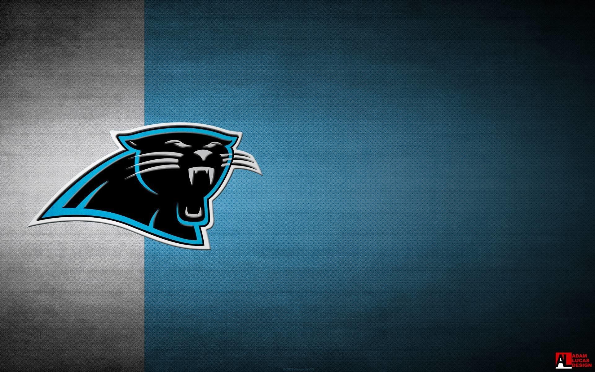 Free download CAROLINA PANTHERS nfl football e wallpaper background  [736x589] for your Desktop, Mobile & Tablet, Explore 49+ Carolina Panthers  iPhone 5 Wallpaper