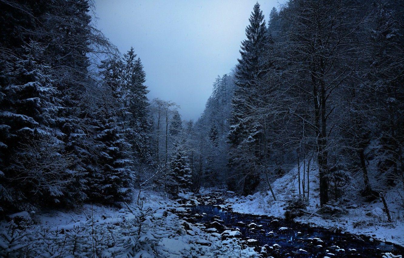 1332x850 Wallpaper winter, cold, Memento mori image for desktop