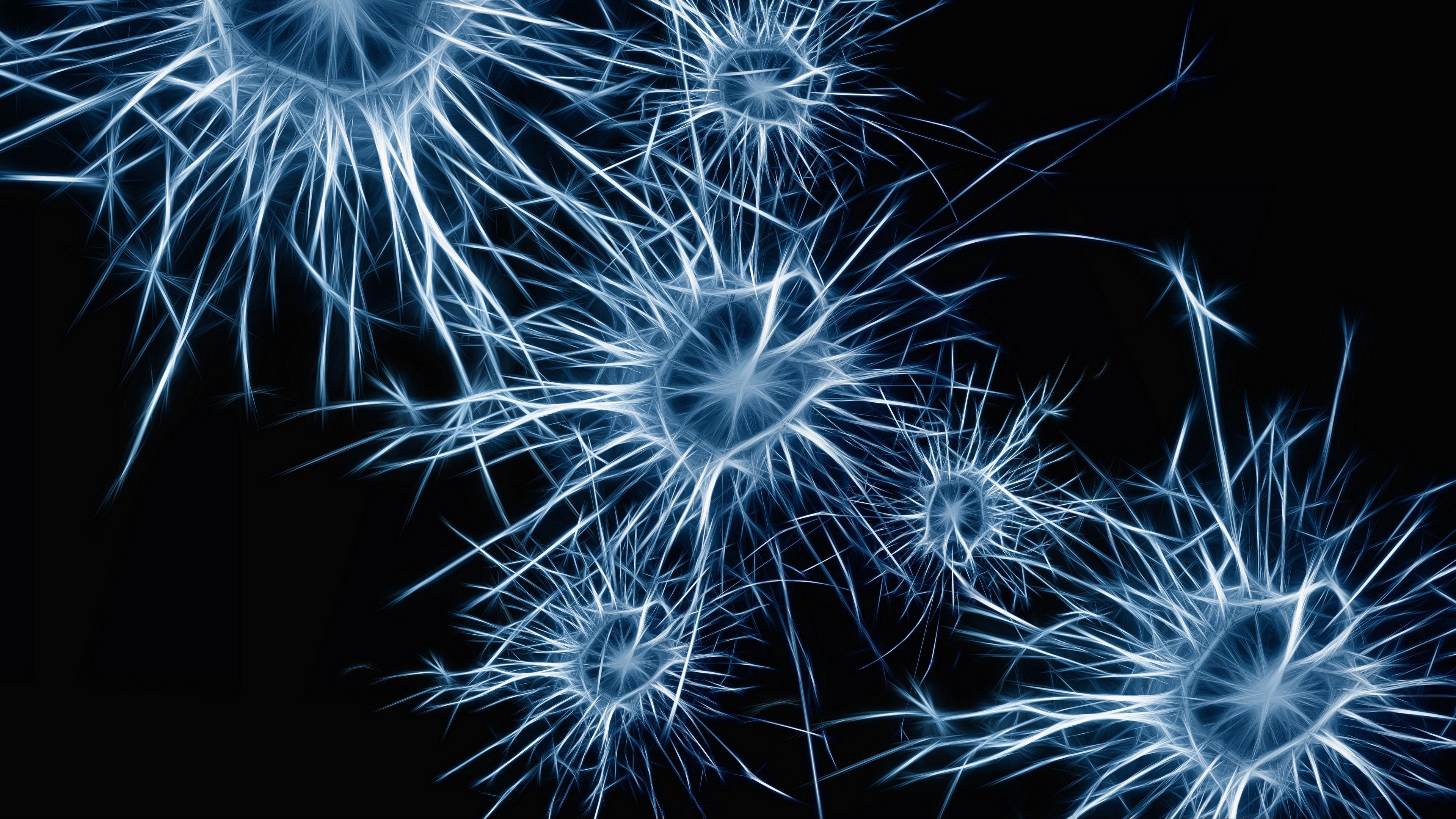 Neurons On A Dark Background With Lights 3d Illustration Of Neuron Cells  With Light Pulses On A Light Background Hd Photography Photo Background  Image And Wallpaper for Free Download