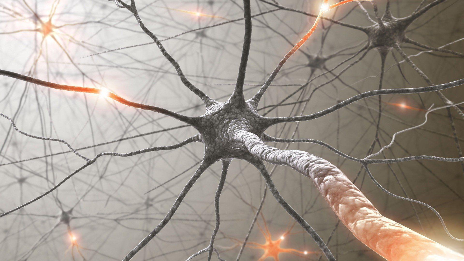 1920x1080 Neuron HD Wallpaper and Background Image