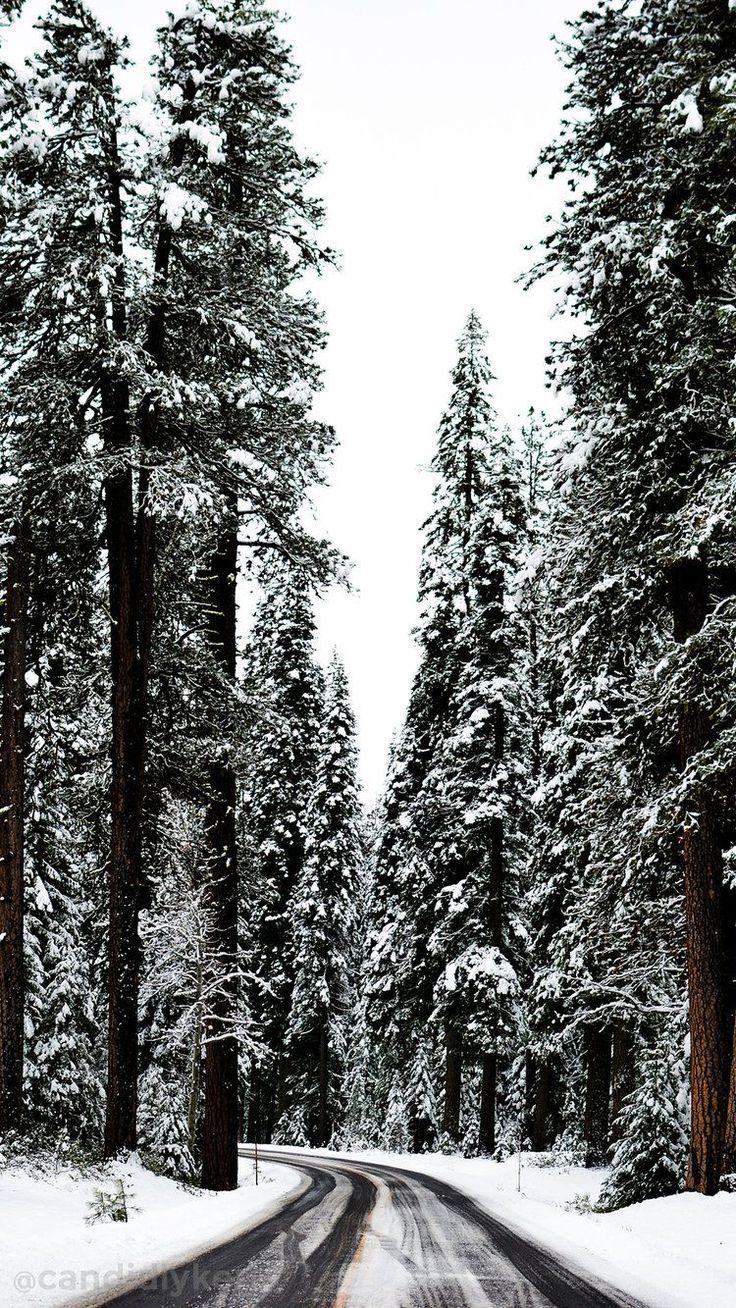 736x1308 The colors of nature build a beautiful aesthetic wich