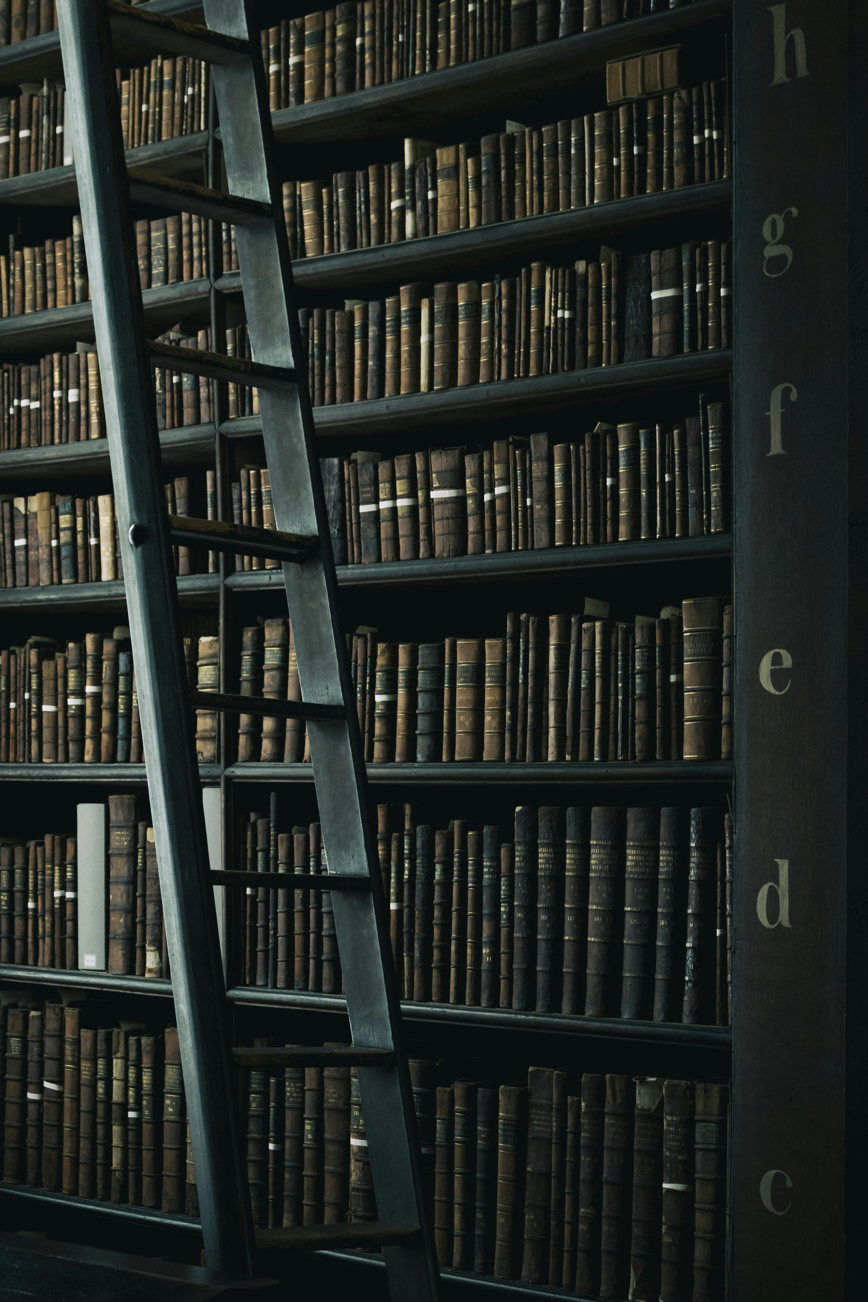 3000x4500 Dark Academia Library Picture