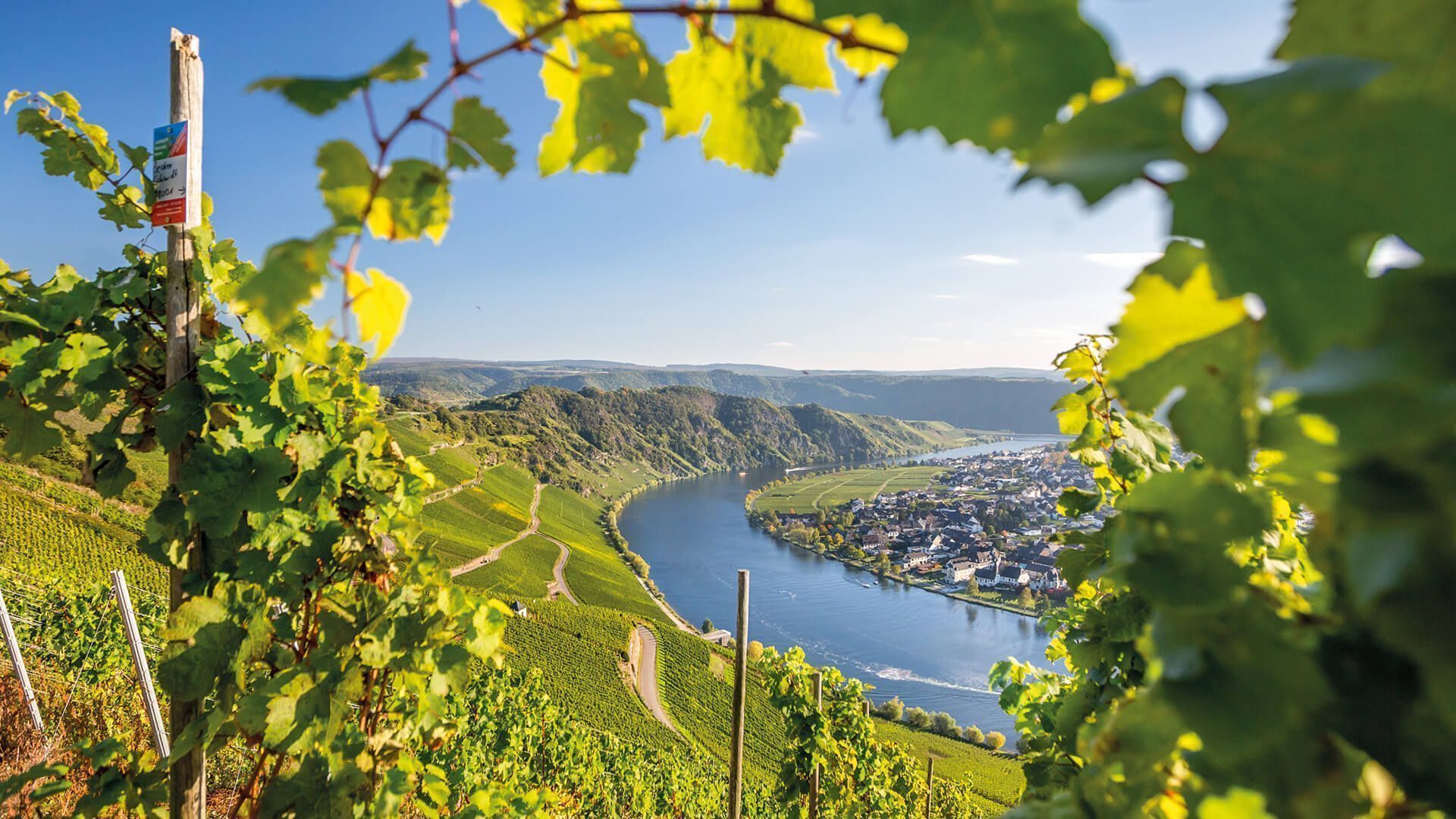 1920x1080 Was Du Noch Nicht über Die Wein Region