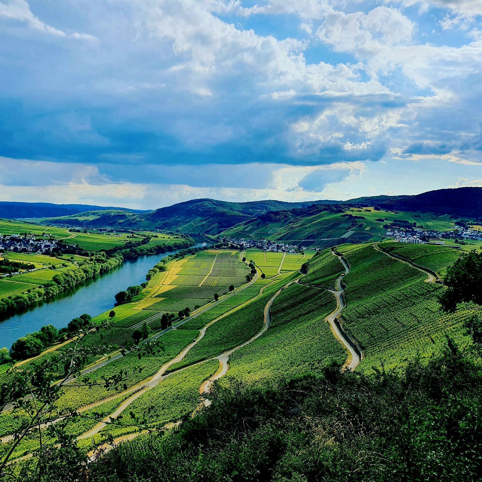 1920x1920 Mosel wine region near Bernkastel