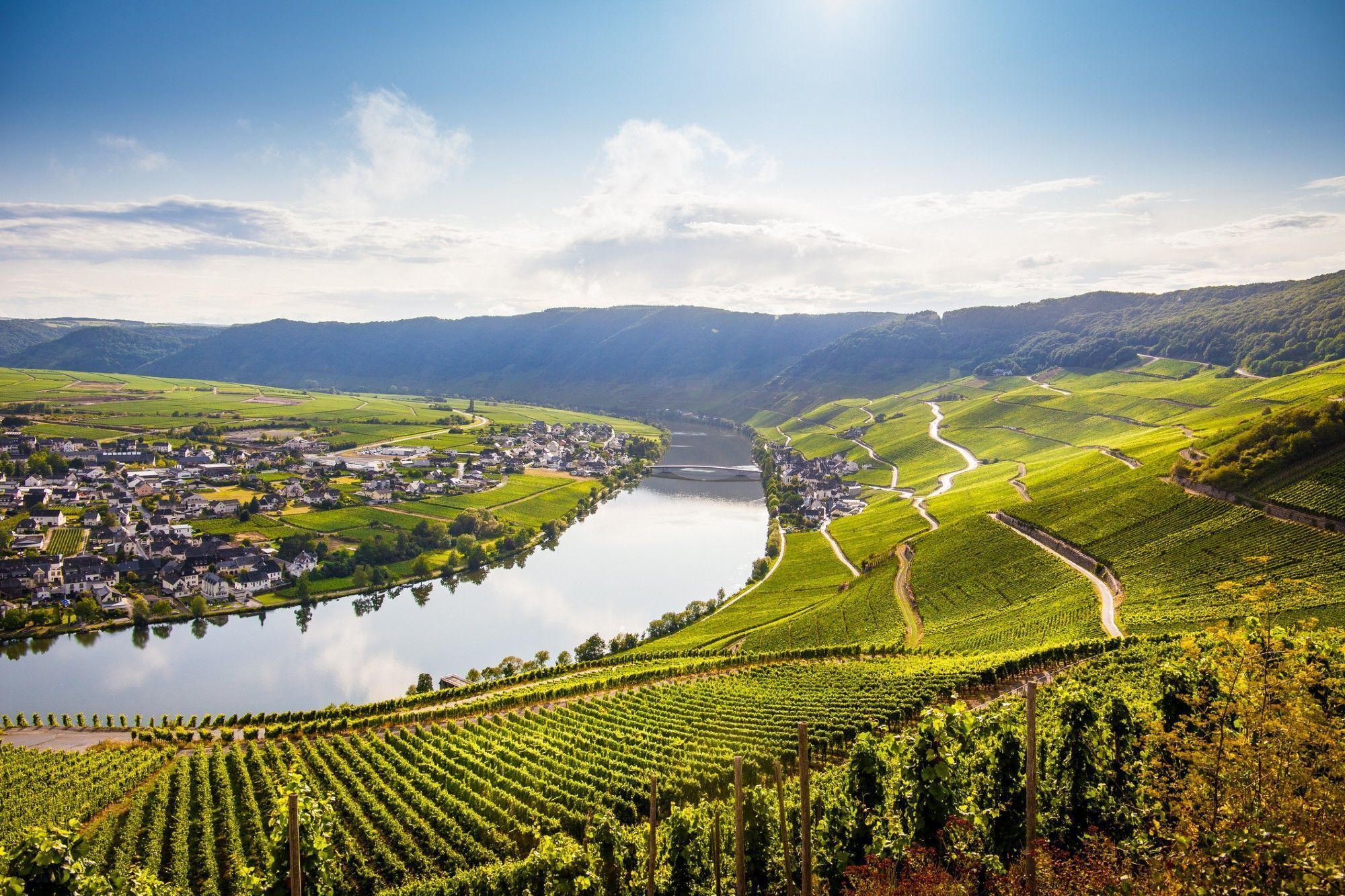 2000x1333 os vinhos da íngreme região do Mosel