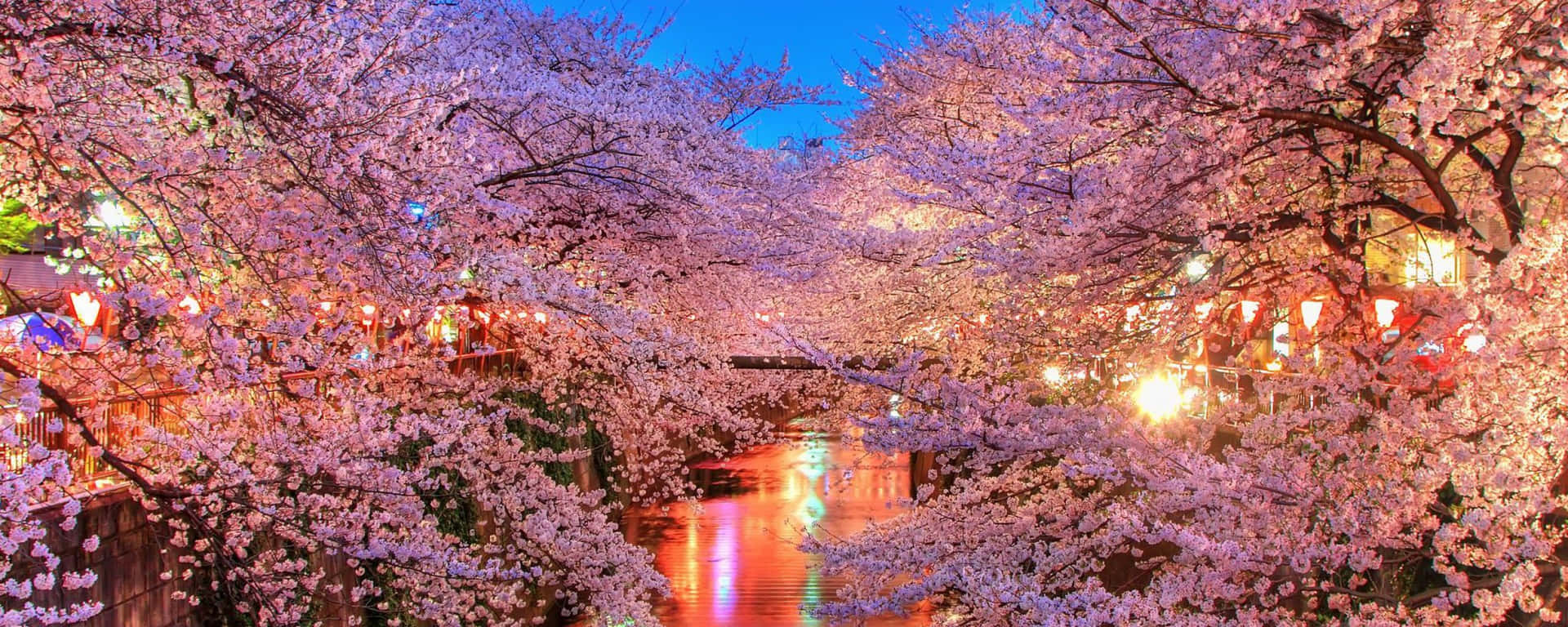 1920x768 Spring Dual Screen Wallpaper