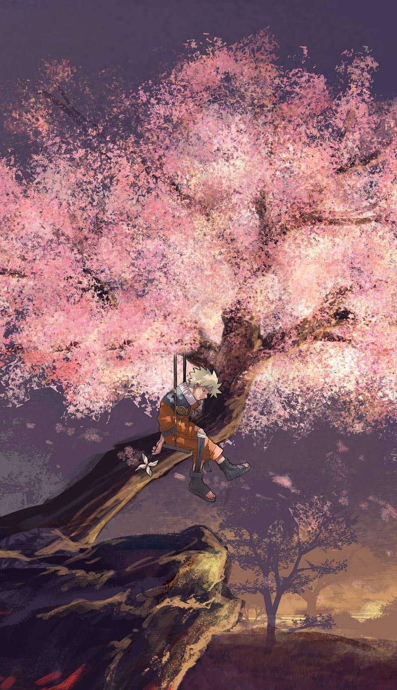800x1389 sakura, tree, HD phone wallpaper
