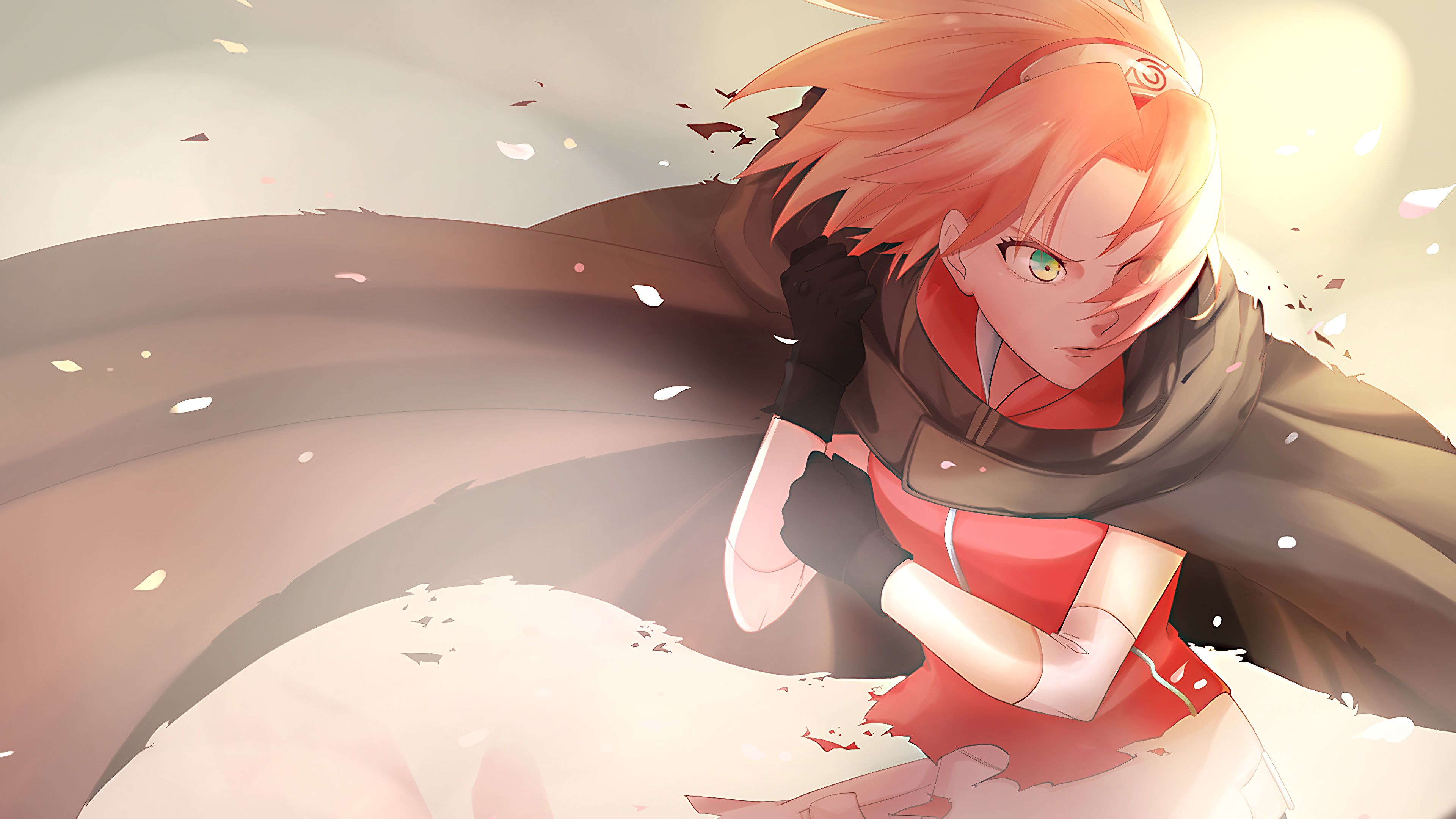 3840x2160 Sakura 4K Wallpaper