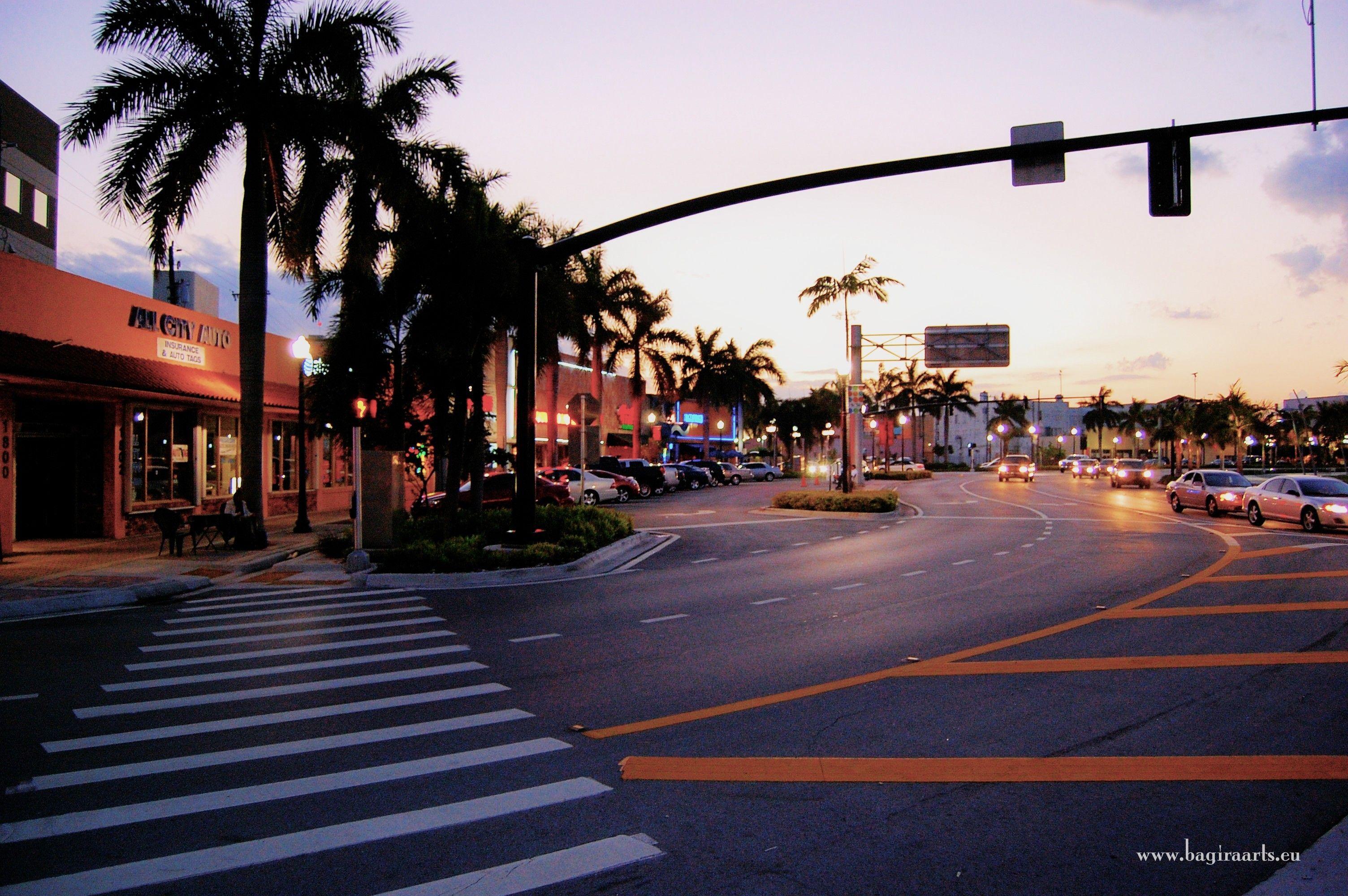 3008x2000 Urban florida hollywood palmtree wallpaper