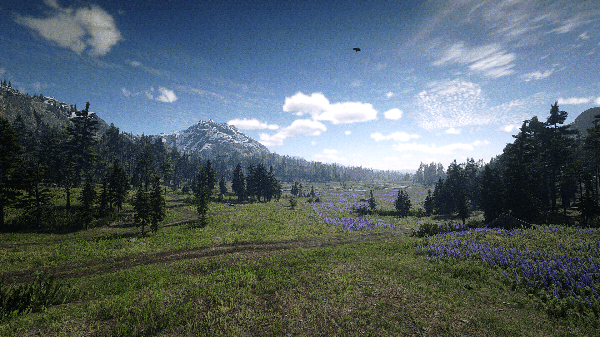 1920x1080 Game Red Dead Redemption 2 HD Wallpaper