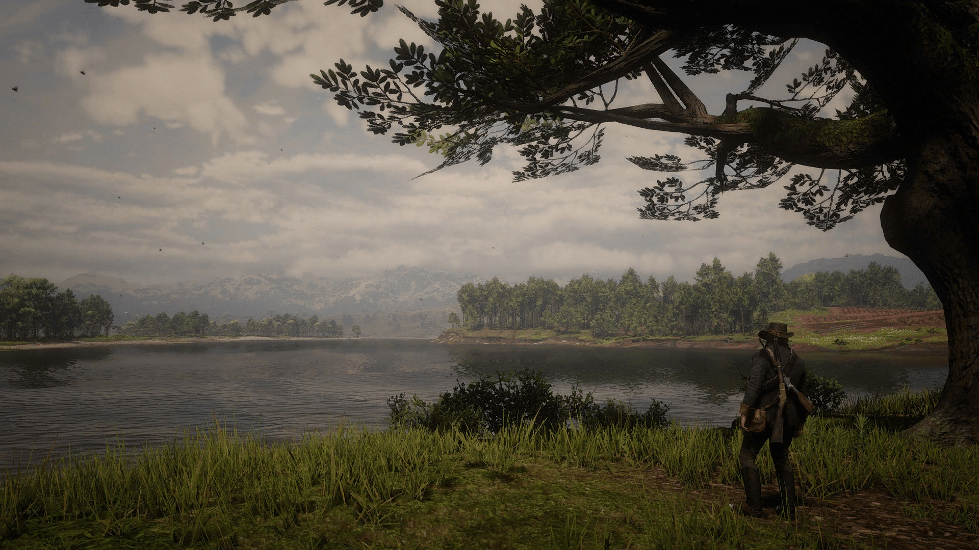 1920x1080 Download Red Dead Redemption 2 HD Wallpaper