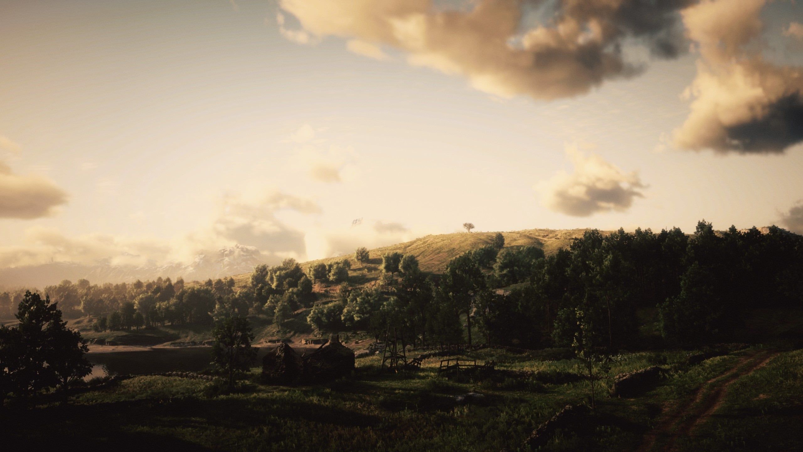 2560x1440 Screen grab from my time in Red Dead