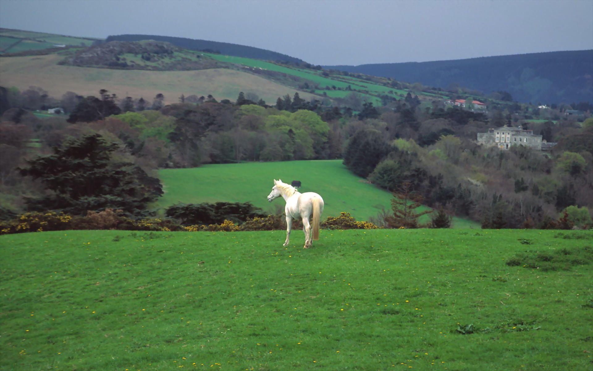 1920x1200 Fine 2016 Wallpaper Pack: Irish Countryside Wallpaper, p.22
