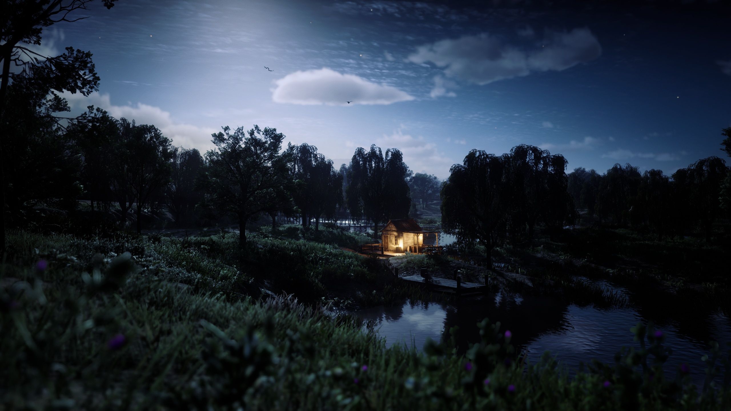 2560x1440 Wallpaper forest, river, nature, night