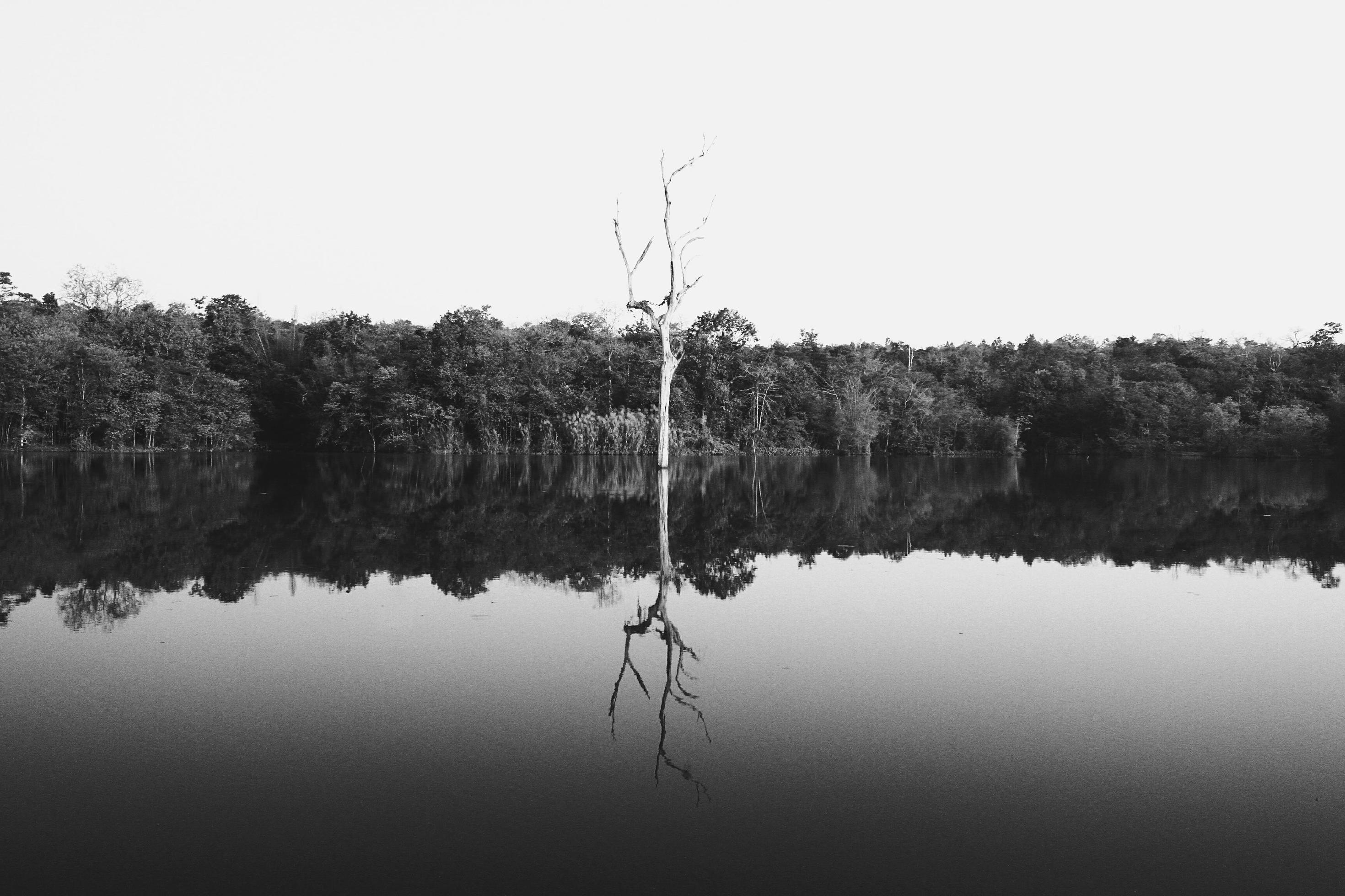 2940x1960 monochrome style. Art natural wallpaper