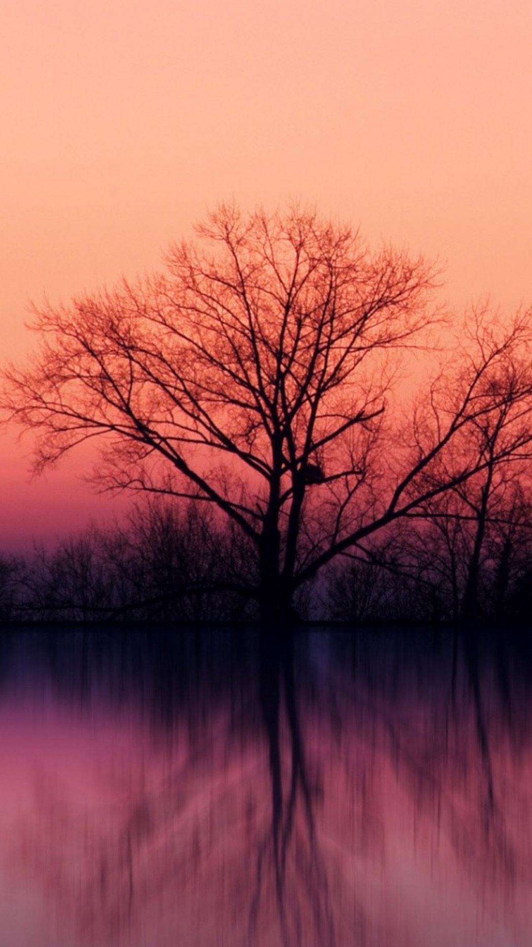 1080x1920 Stillness Calm Lake Sunset Landscape