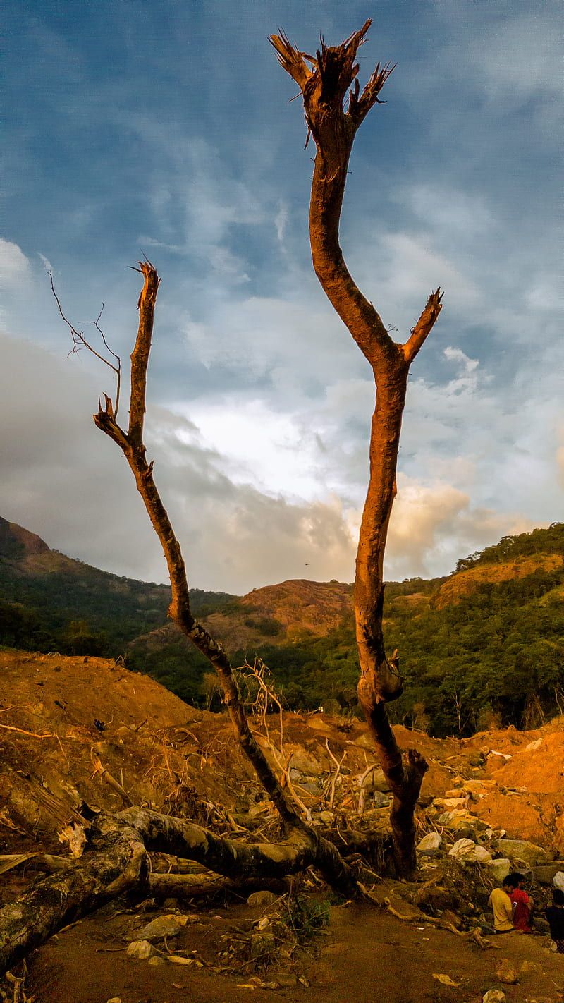 800x1422 calamity, kerala, flood, affected
