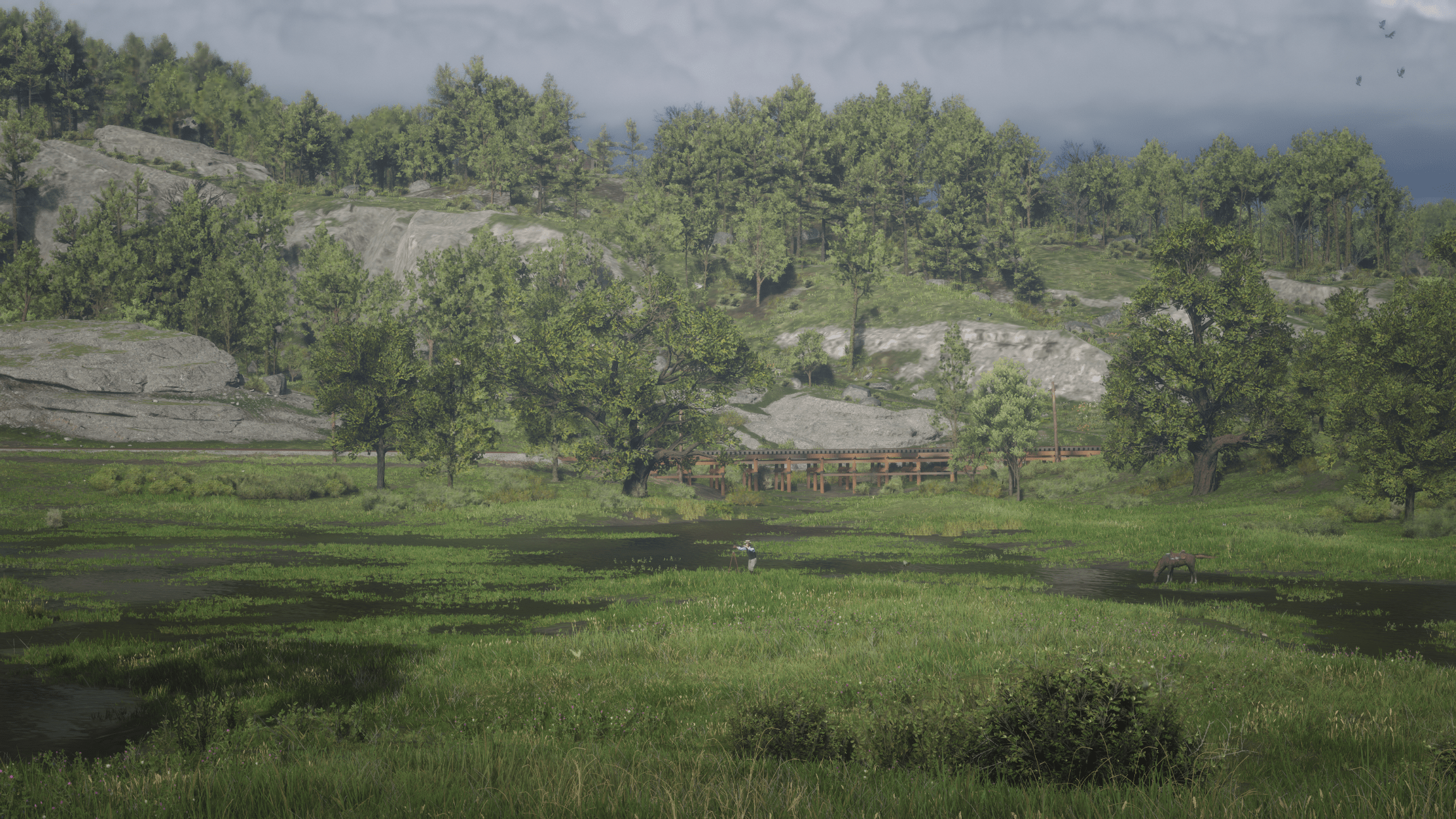 2304x1296 Red Dead Redemption 2 landscape shots
