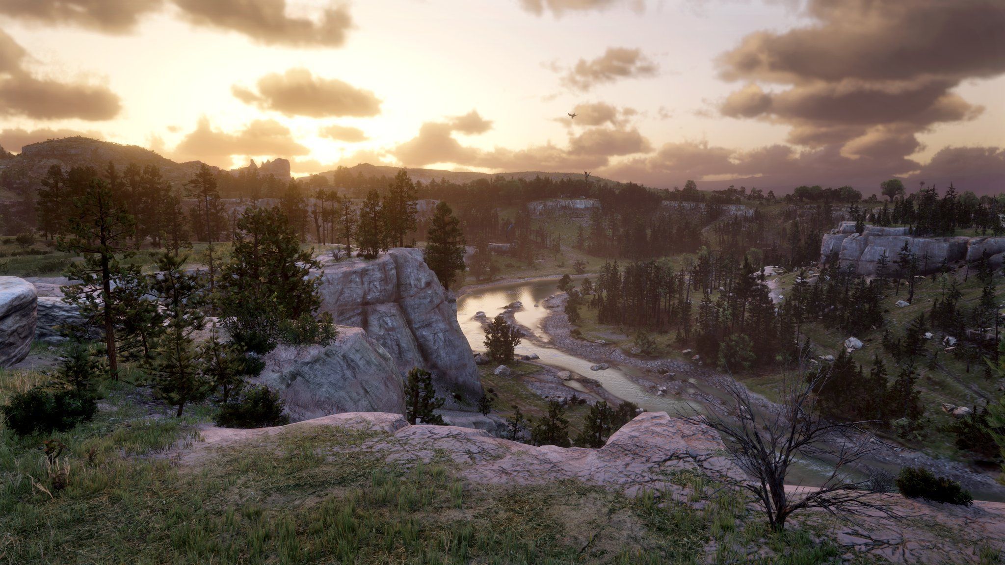 2048x1152 Novi on X: Red Dead Redemption 2
