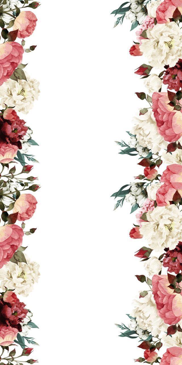 640x1280 iPhone Wallpaper. Pink, Flower, Petal, Plant, Floral design