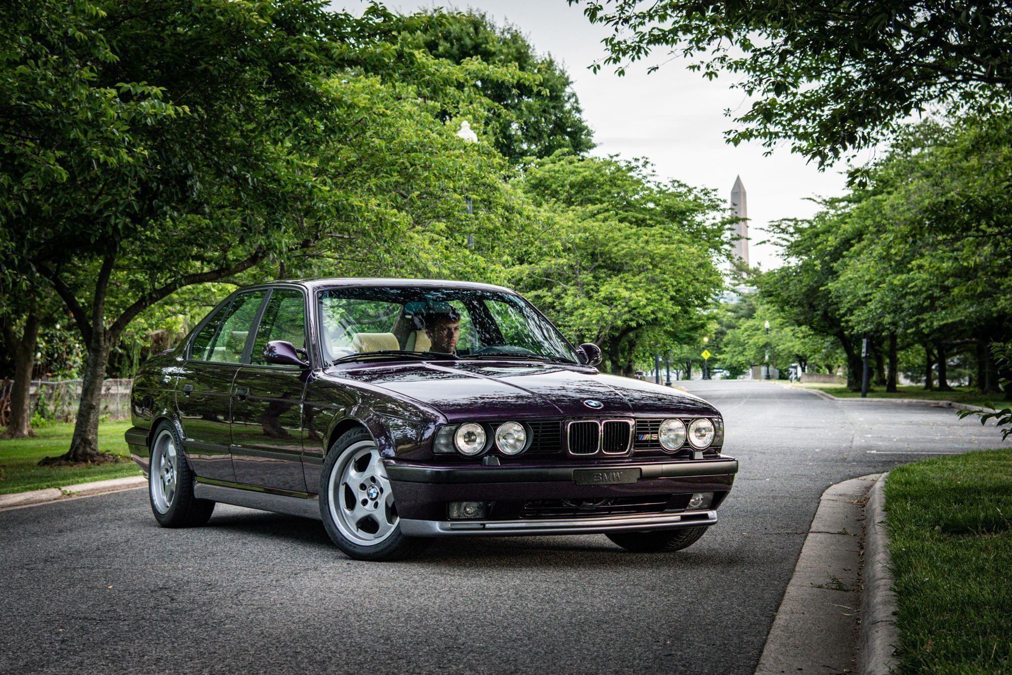 2000x1333 Dreams Of Daytona Violet: The Rebirth