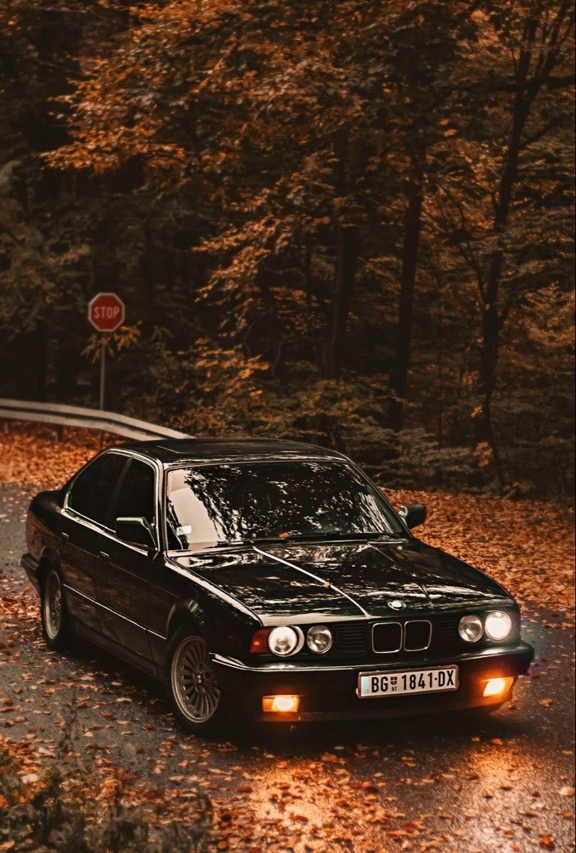 810x1200 BMW E34 in the fortress