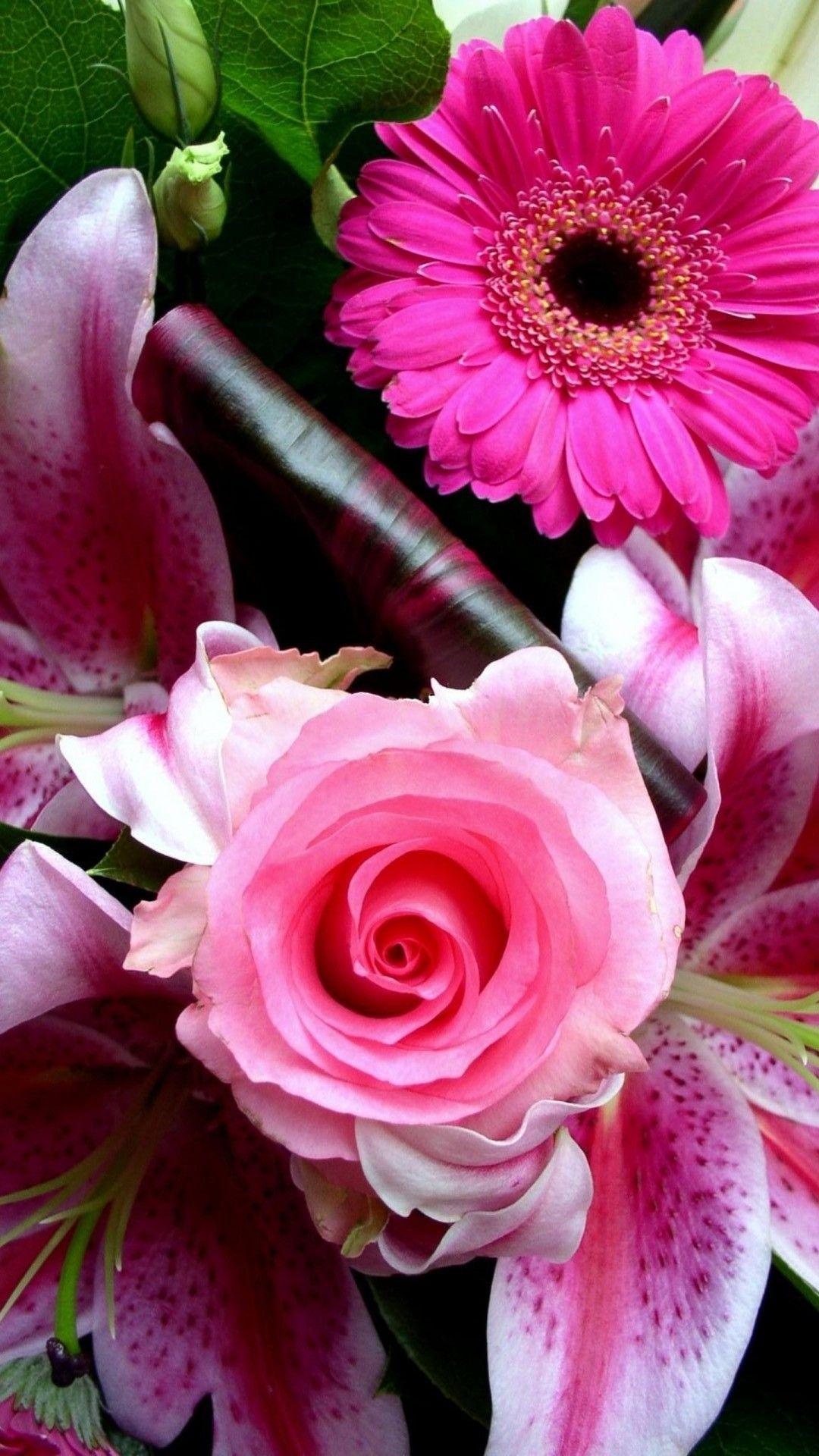 1080x1920 iPhone Wallpaper HD Pink Flower Cute Wallpaper