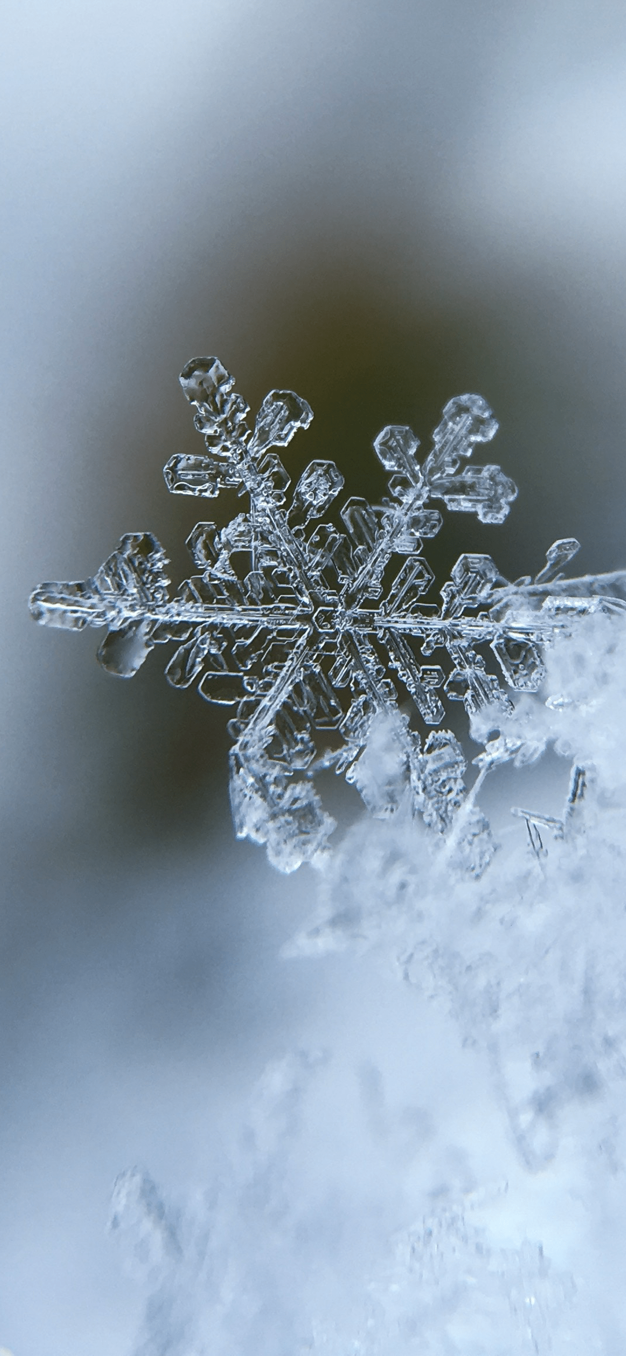1242x2688 Cute Winter iPhone Background_hd wallpaper_download free