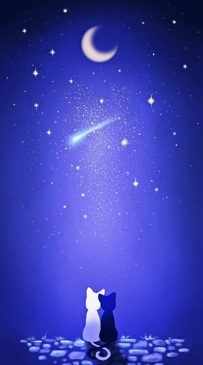 800x1436 night, sky, HD phone wallpaper