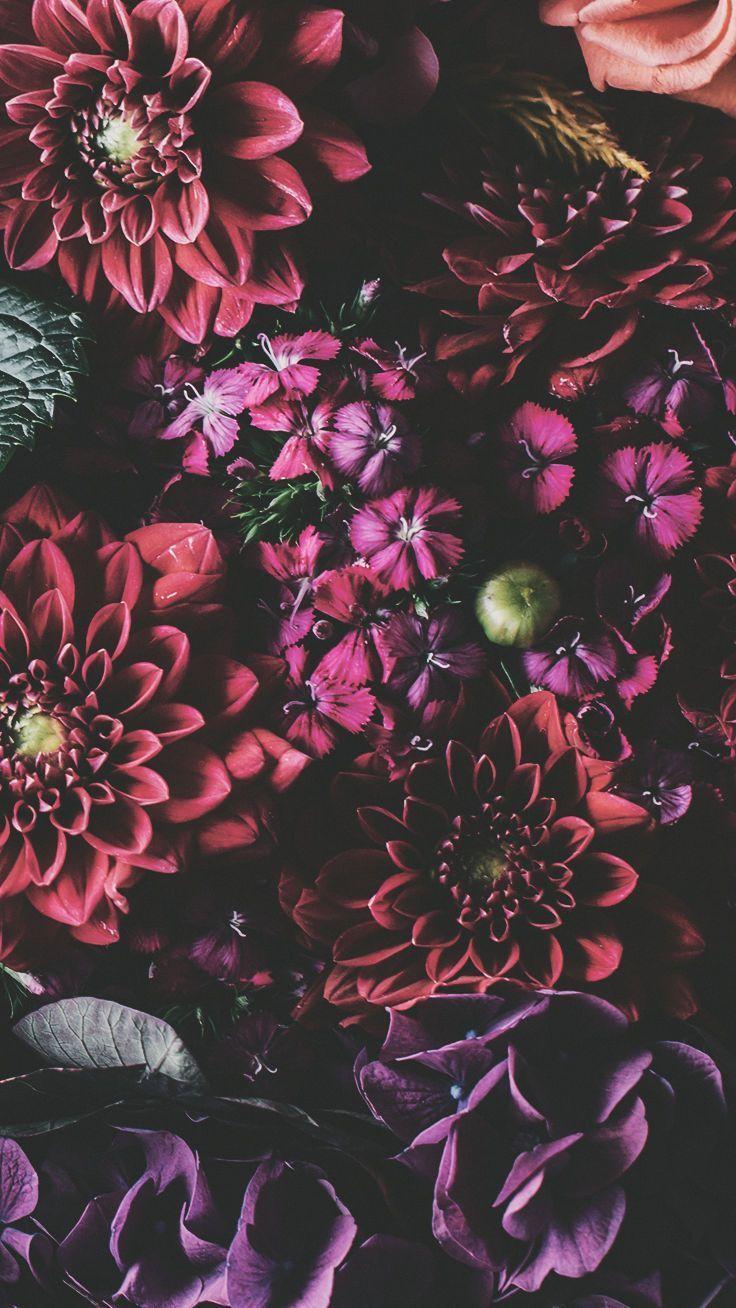 736x1308 iPhone XS Max Wallpaper