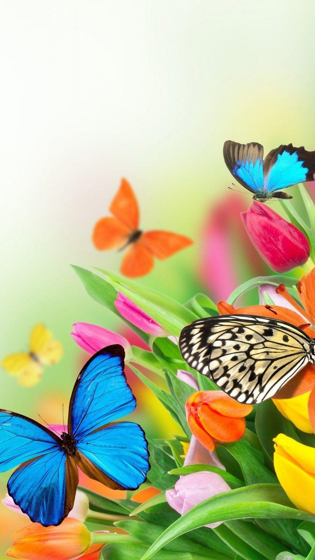 1080x1920 Wallpaper Butterfly iPhone iPhone Wallpaper. Butterfly wallpaper iphone, Pink wallpaper iphone, iPhone wallpaper