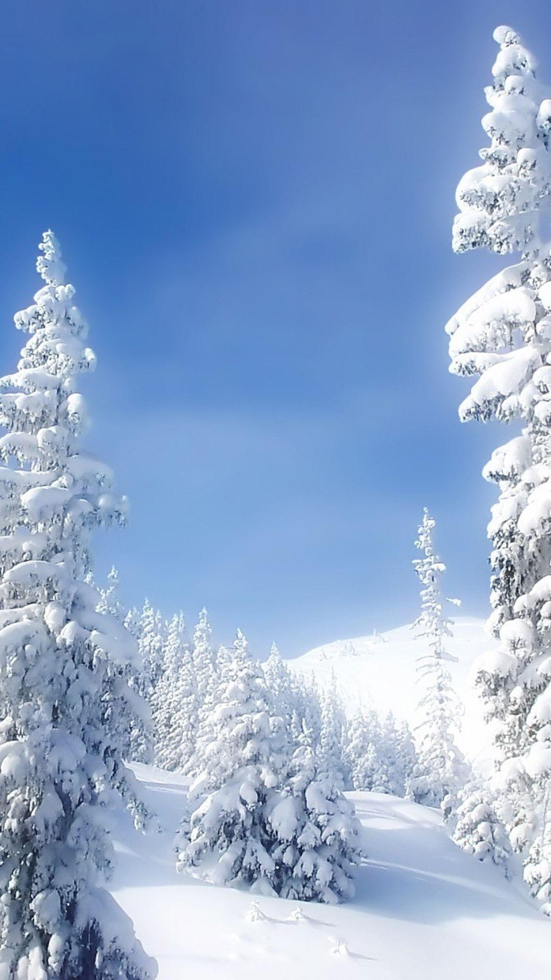 1080x1920 White Winter Forest