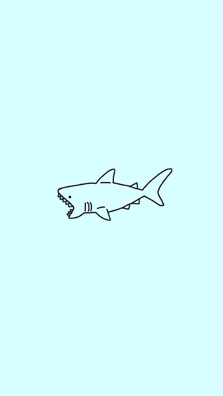 Kawaii Shark Wallpapers  Top Free Kawaii Shark Backgrounds   WallpaperAccess