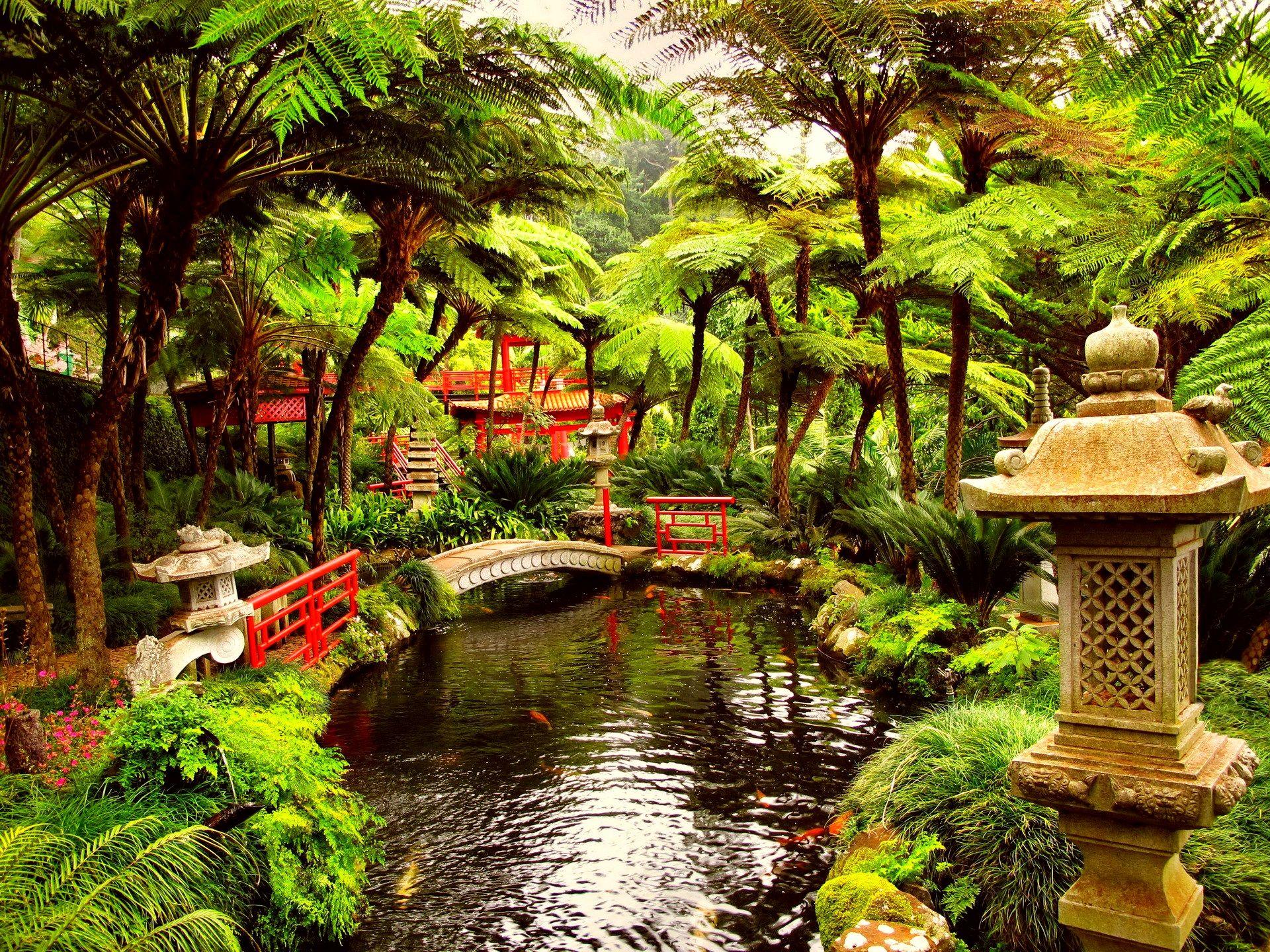 Tea Garden Live Wallpaper