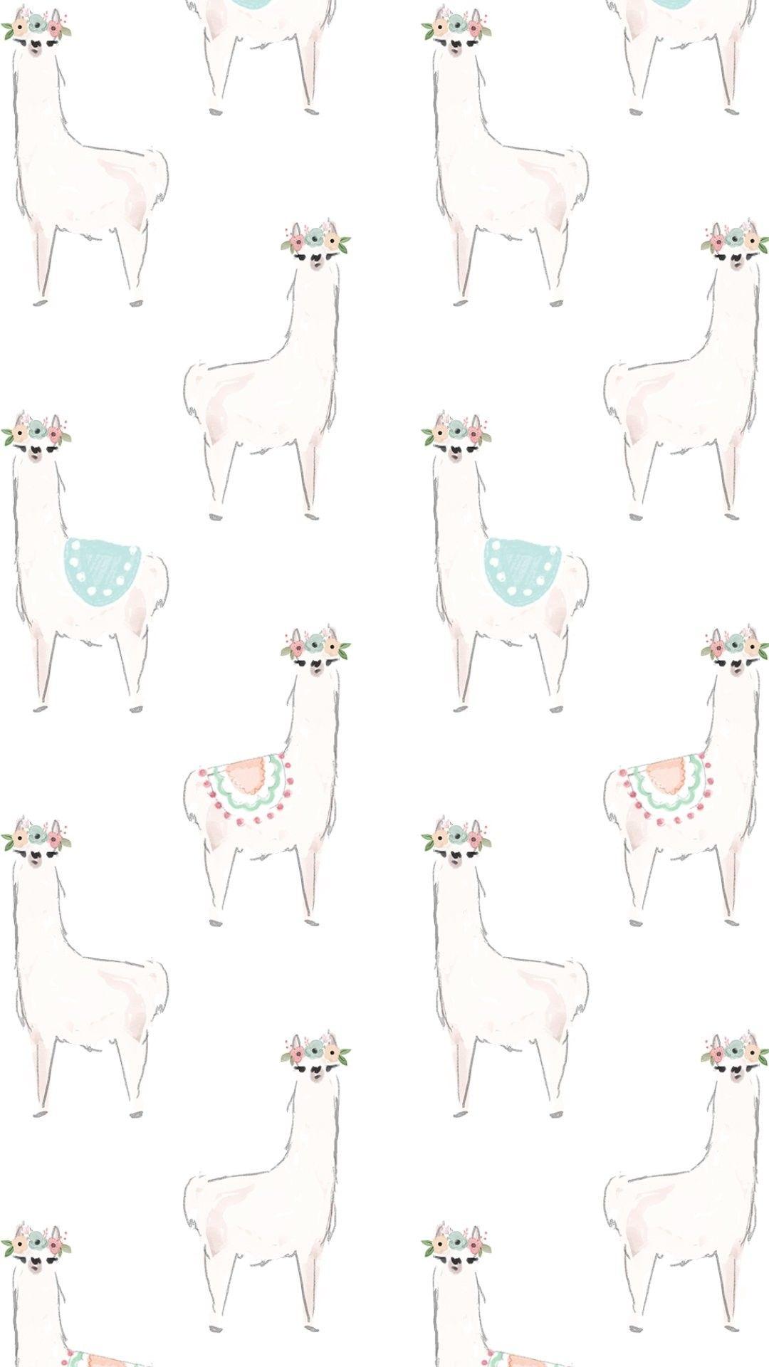 Alpacas 1080P, 2K, 4K, 5K HD wallpapers free download | Wallpaper Flare