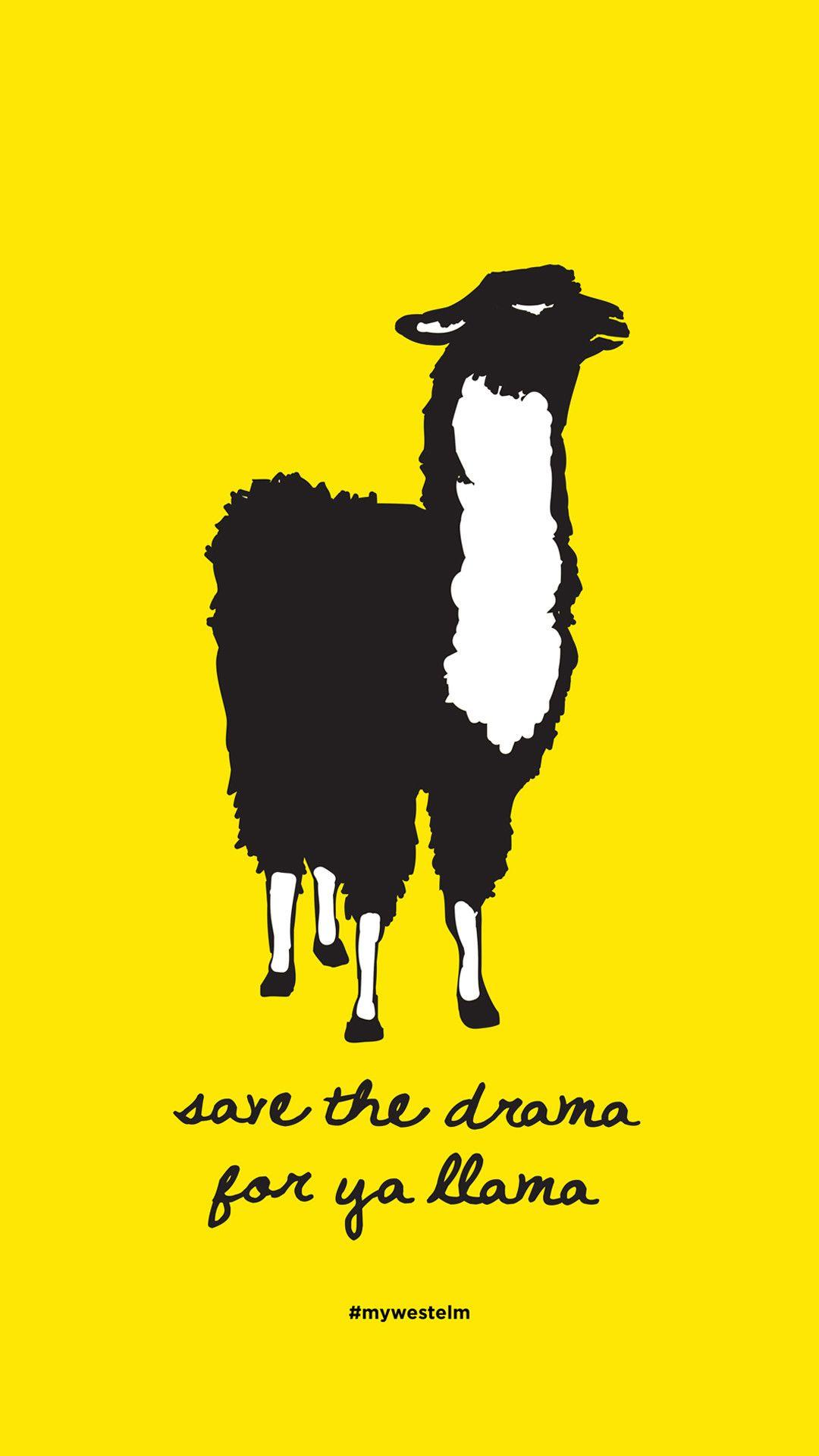 Featured image of post Cute Wallpapers Iphone Llama Wallpaper : Our llama wallpaper will add whimsical style to your space.