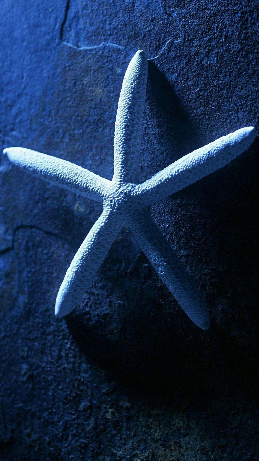 1080x1920 Android Tablet Background Android Wallpaper