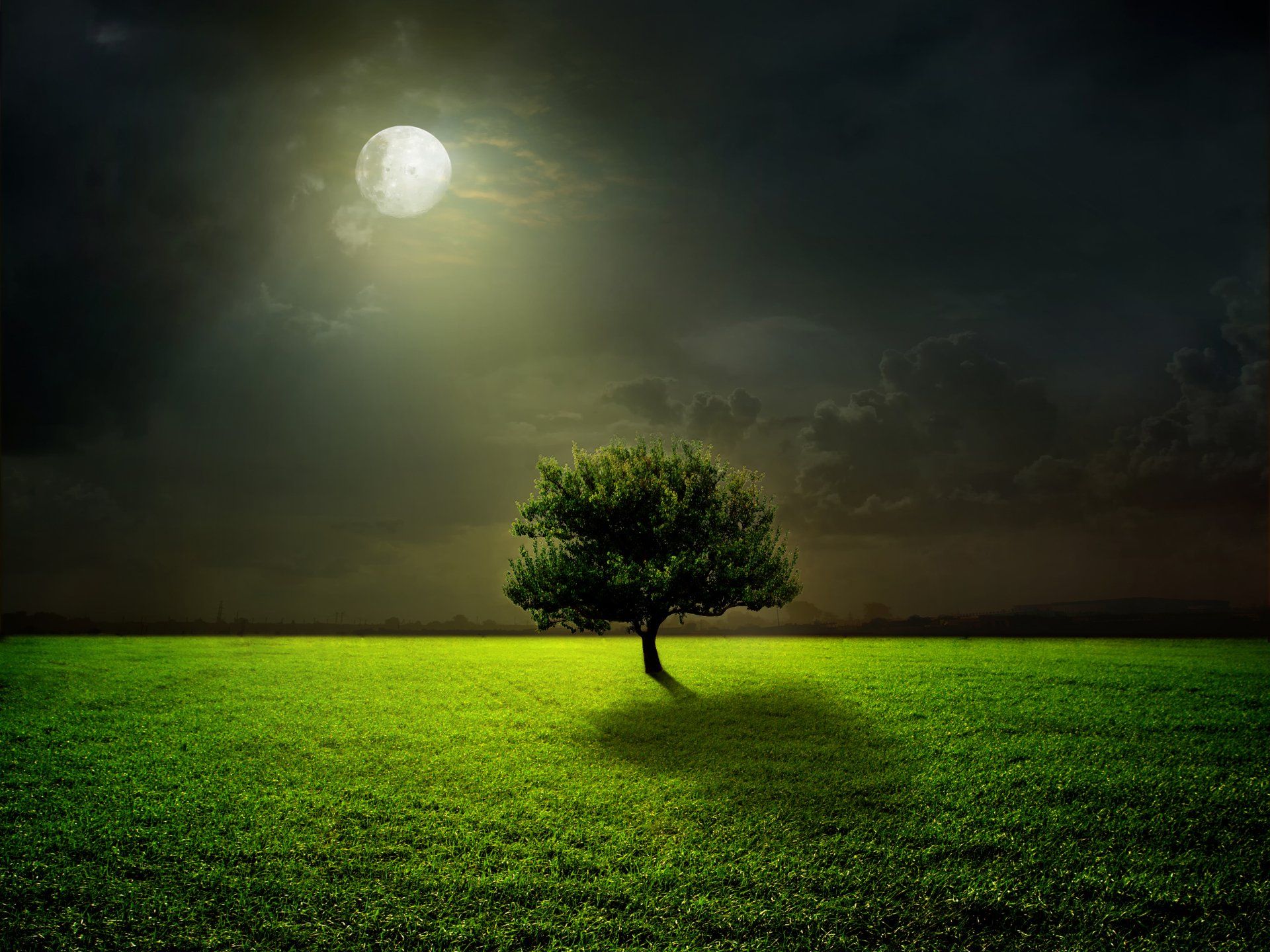1920x1440 Download Grass Full Moon Moon Nature Tree 4k Ultra HD Wallpaperx4305