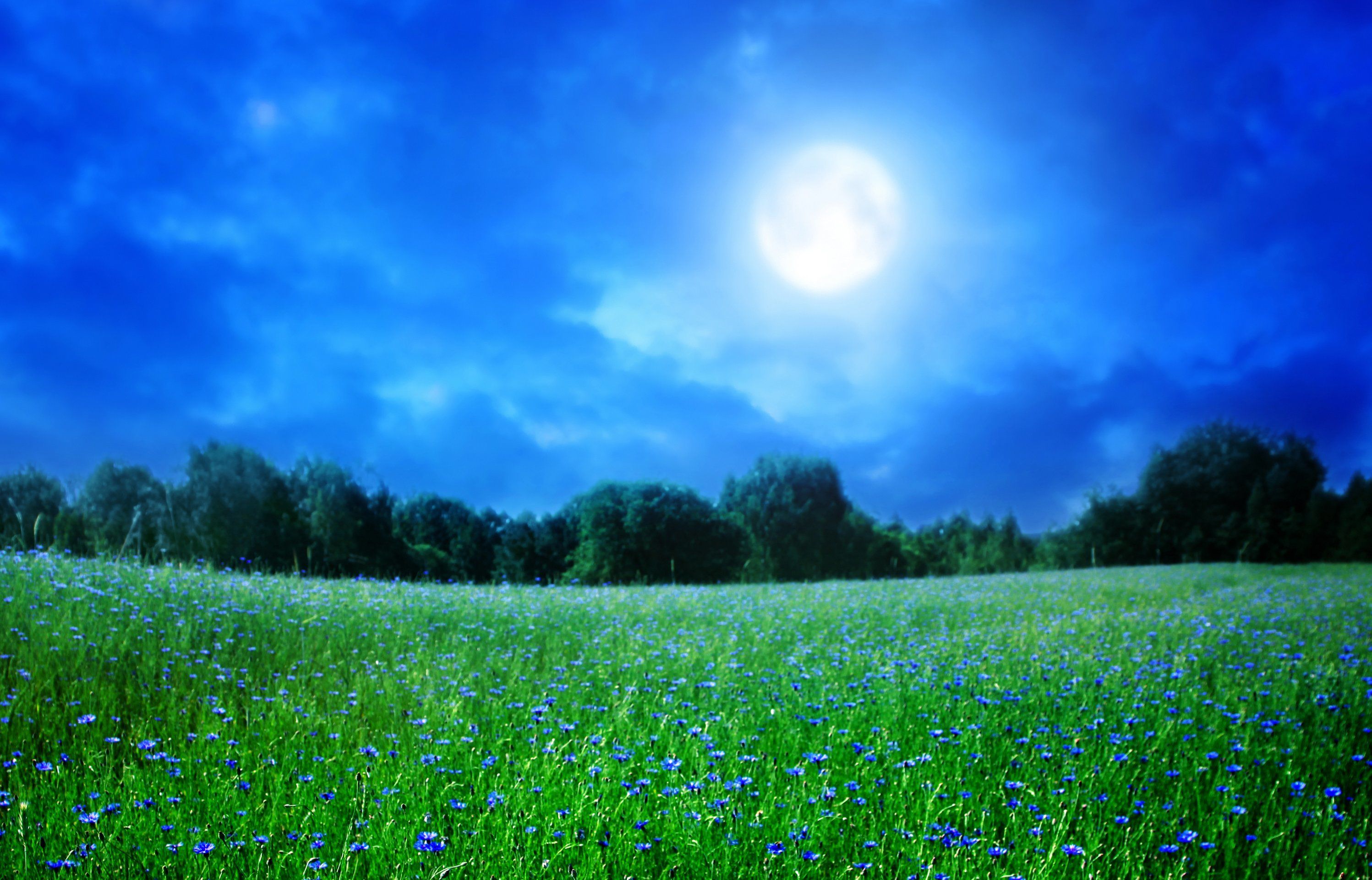 2995x1922 Wallpaper summer, the sky, grass, trees, landscape, night, nature, the moon for mobile and desktop, section пейзажи, resolution 2995x1922