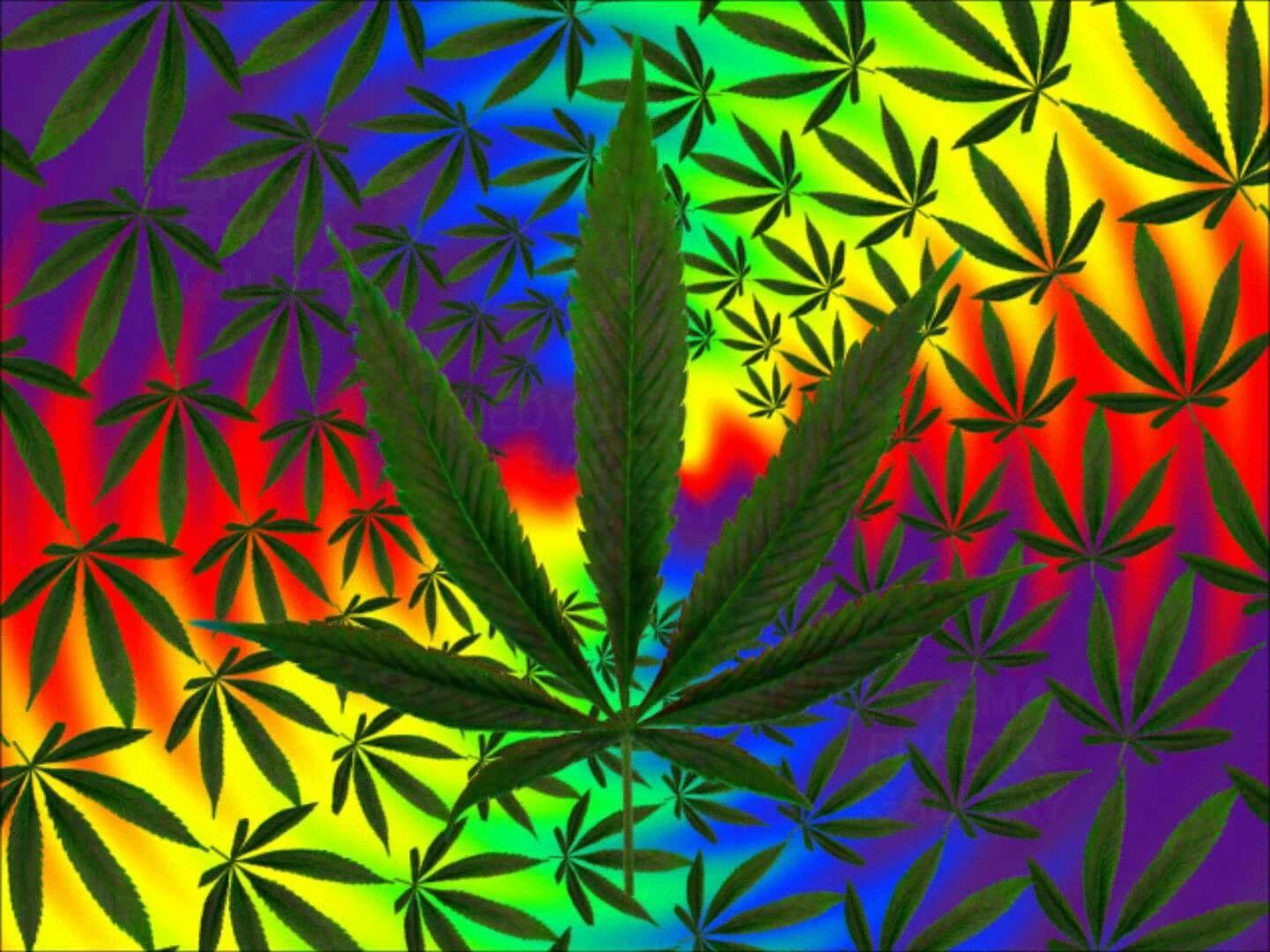 1440x1080 Trippy Pot Leaf Wallpaper (30 + Background Picture)