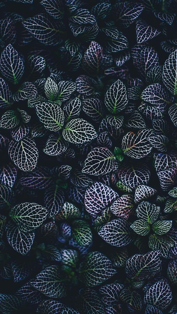 736x1308 Super Pretty iPhone X Wallpaper