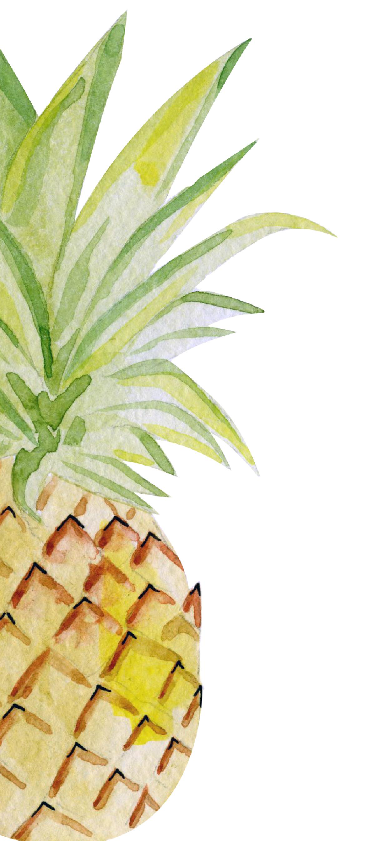 1242x2688 Cute Summer iPhone Wallpaper Part 2. Ginger and Ivory