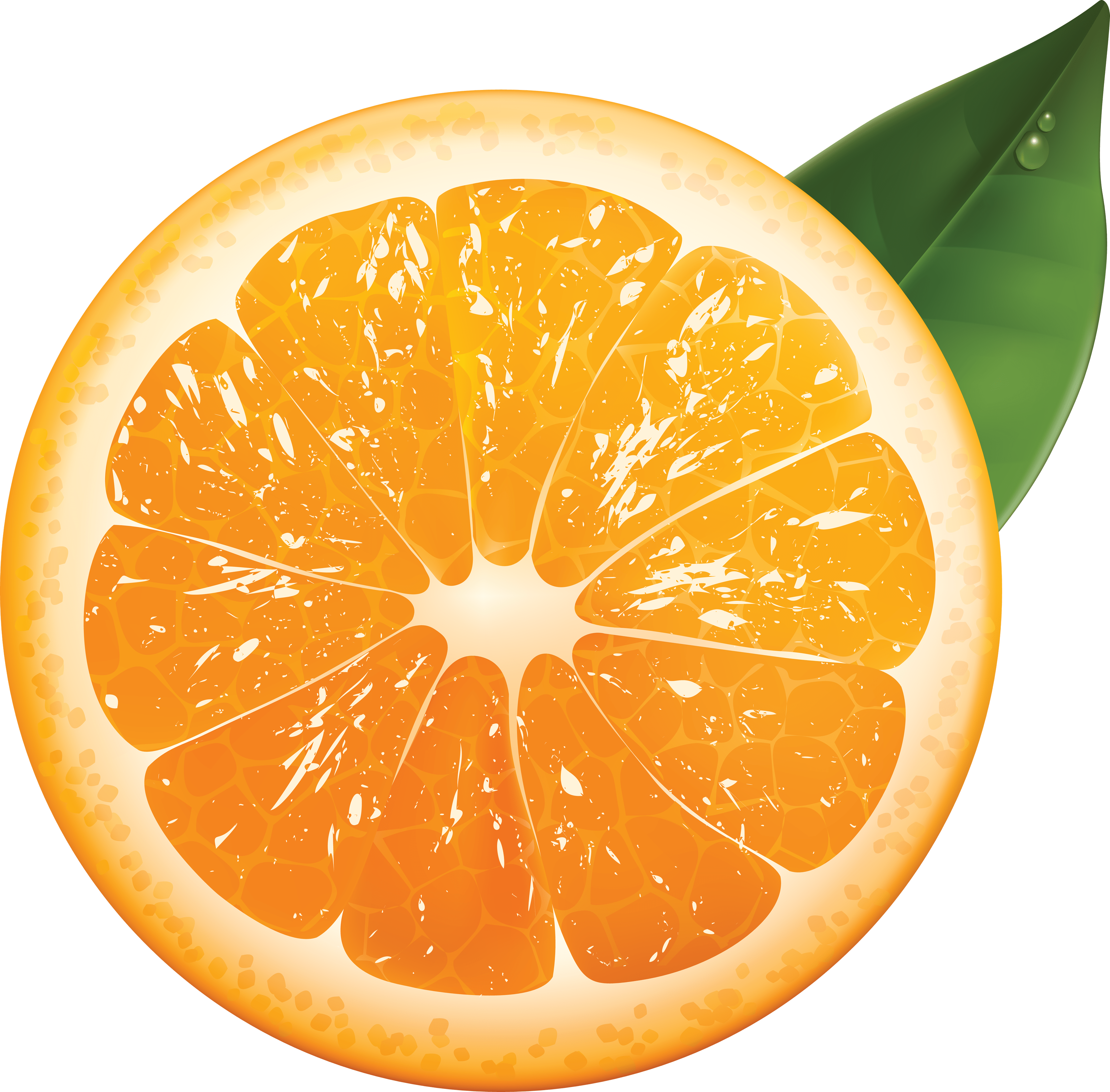 Orange Fruit Wallpapers Top Free Orange Fruit Backgrounds
