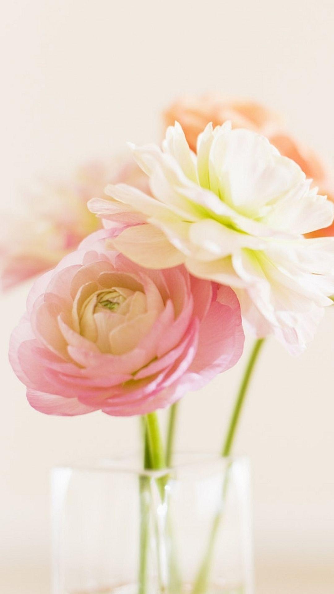 1080x1920 Elegant Beautiful Bloom Glass Vase Hình nền iPhone 8 Tải xuống miễn phí