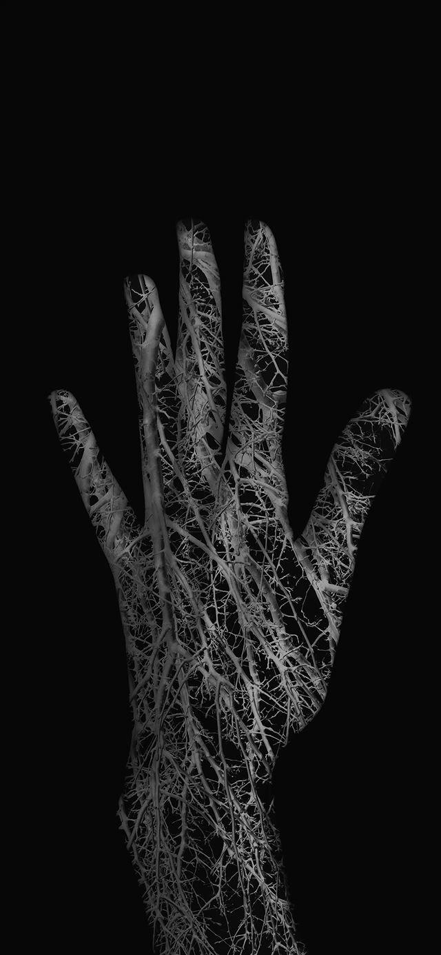 Artistic iPhone Wallpapers - Top Free Artistic iPhone Backgrounds