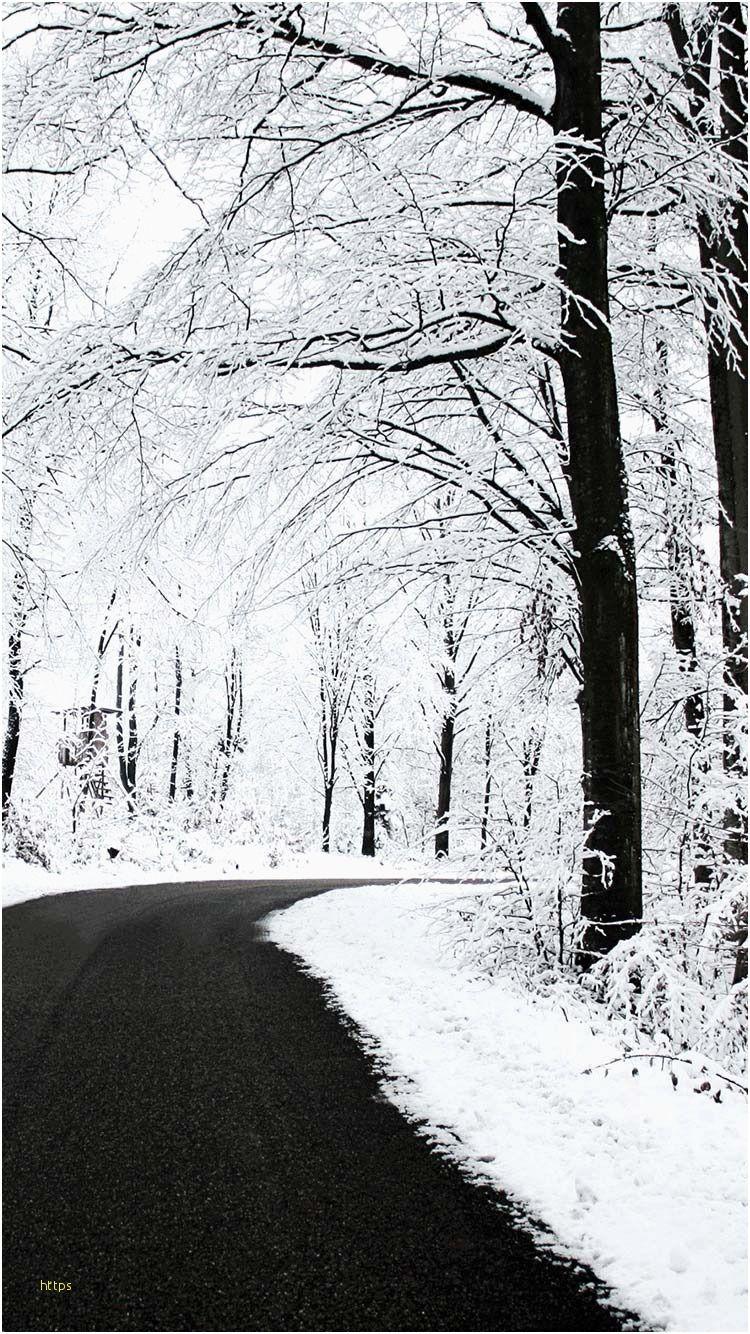 750x1334 Winter iPhone Wallpaper Elegant 10 Best iPhone 6 6s