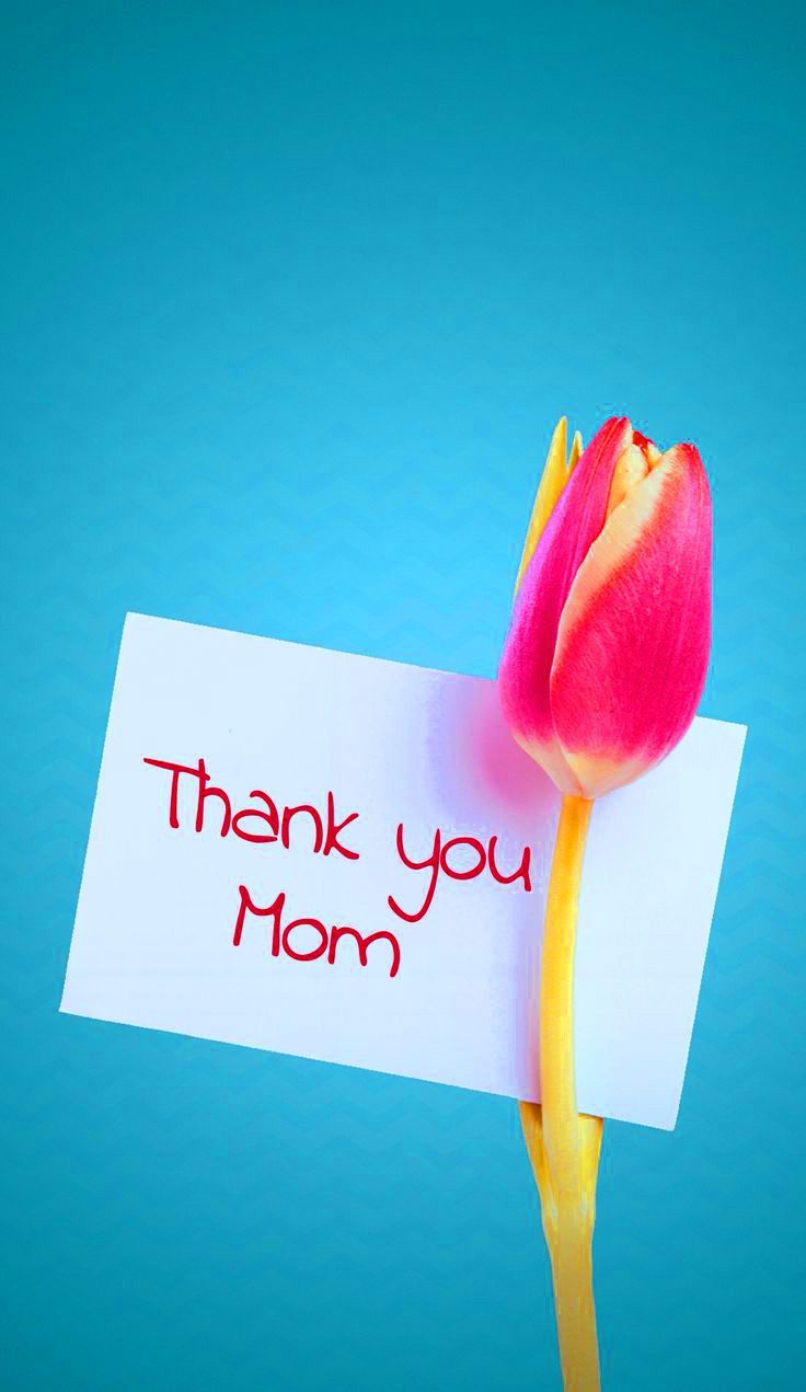 736x1271 Cute Mom Wallpaper