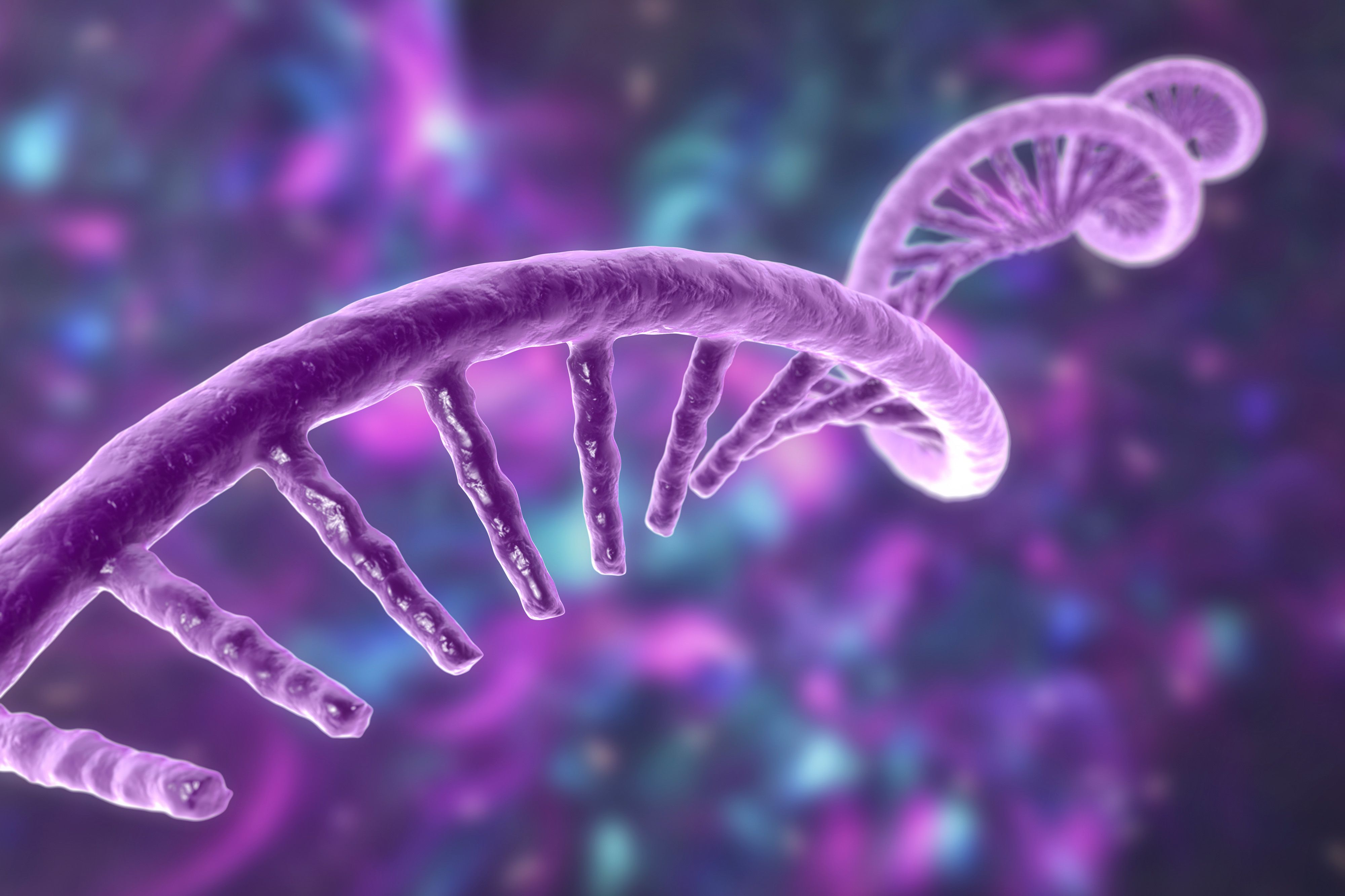 4000x2667 New technique reveals how gene transcription is coordinated in cells. MIT News. Massachusetts Institute of Technology